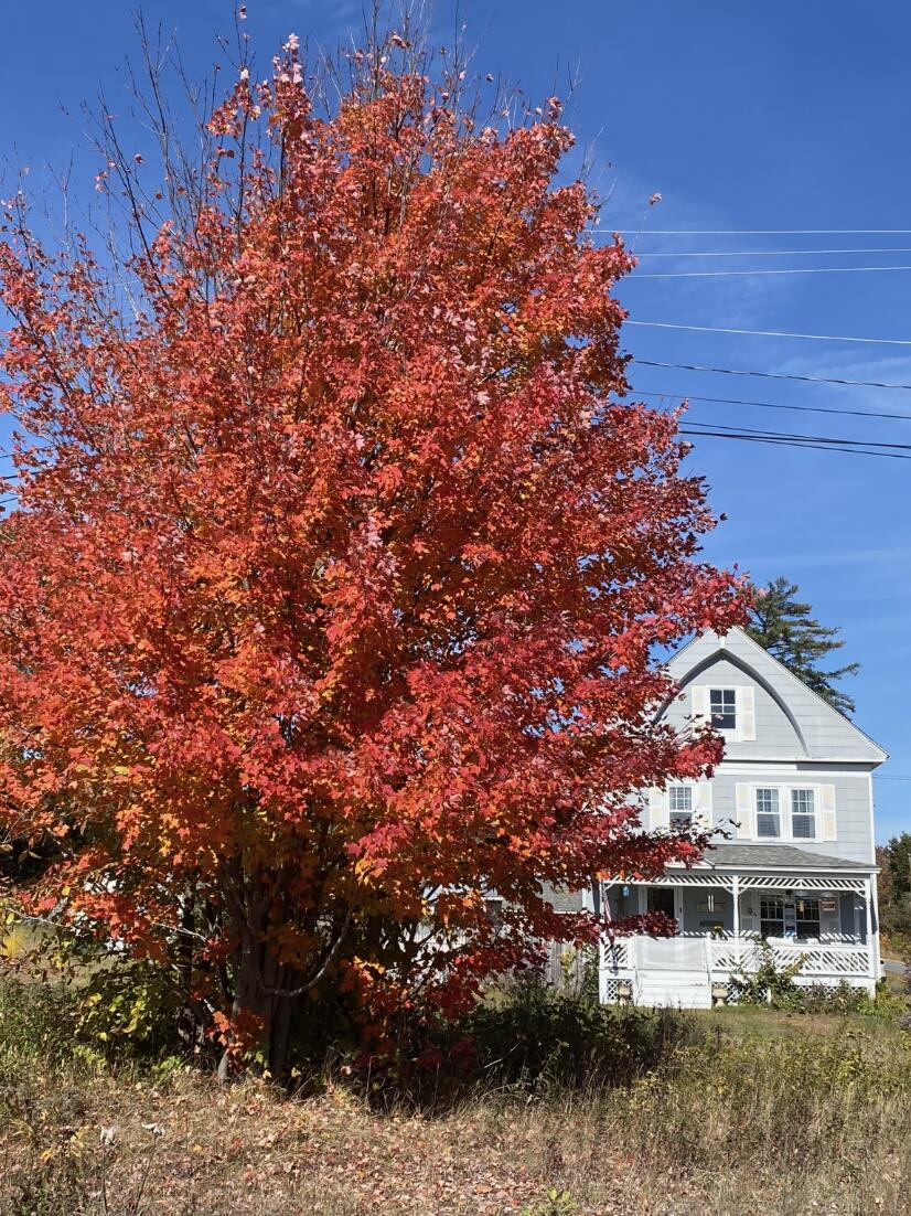 40 Pine Street, Dixfield, ME, 04224