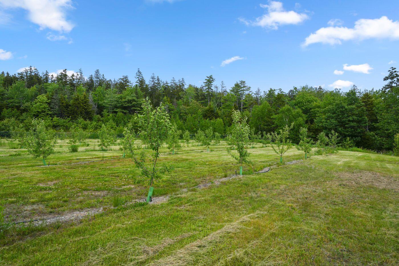 Lot 50-2 Serene Drive, Northport, ME, 04849