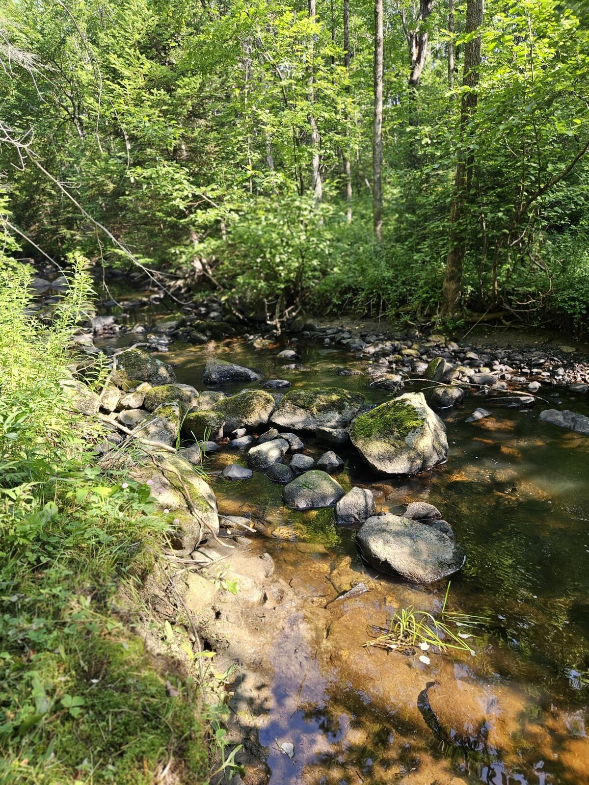 A small path leads from the lawn to nearby Houghton Brook,