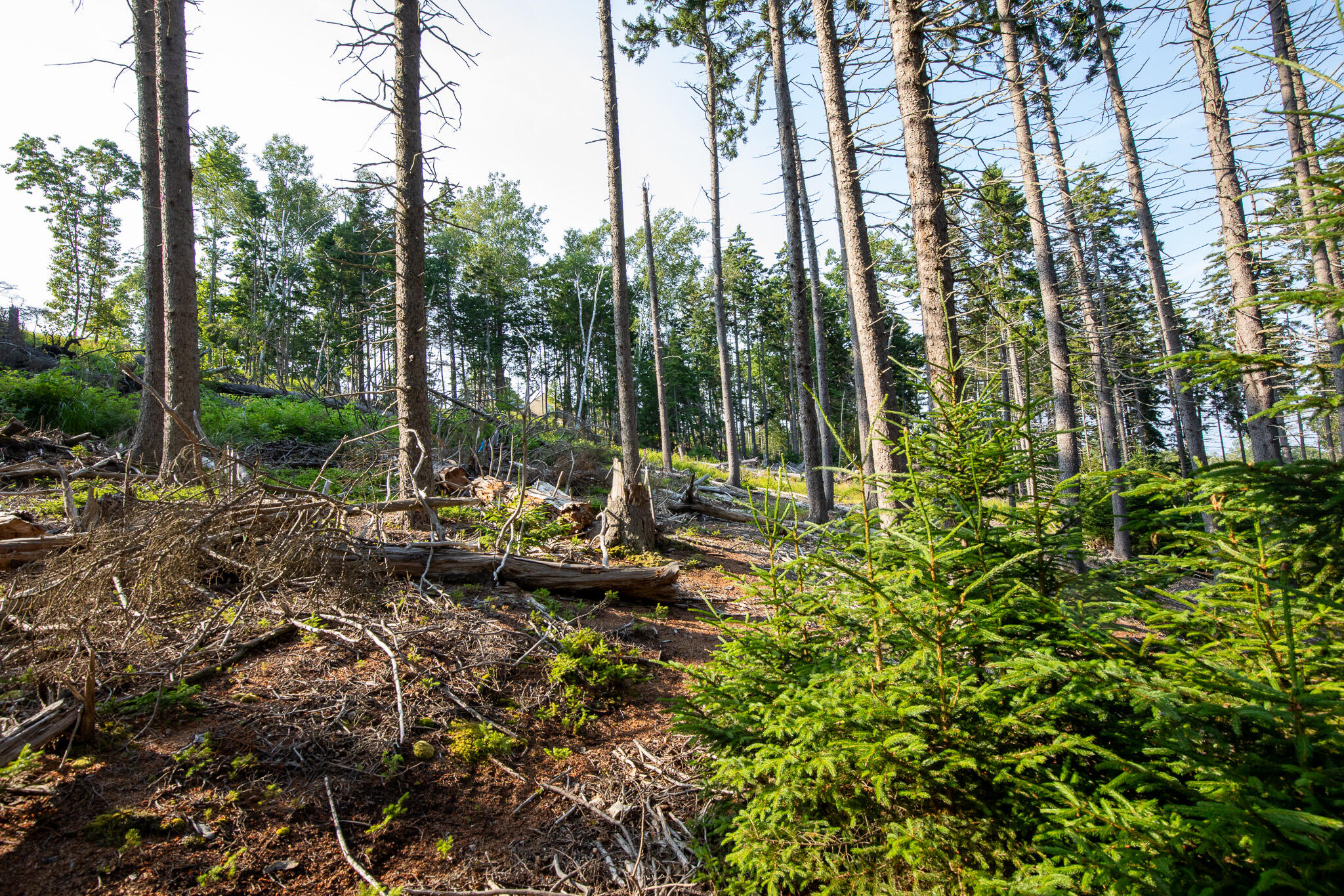 0 Bayview Road UNIT 2, Harpswell, ME, 04066