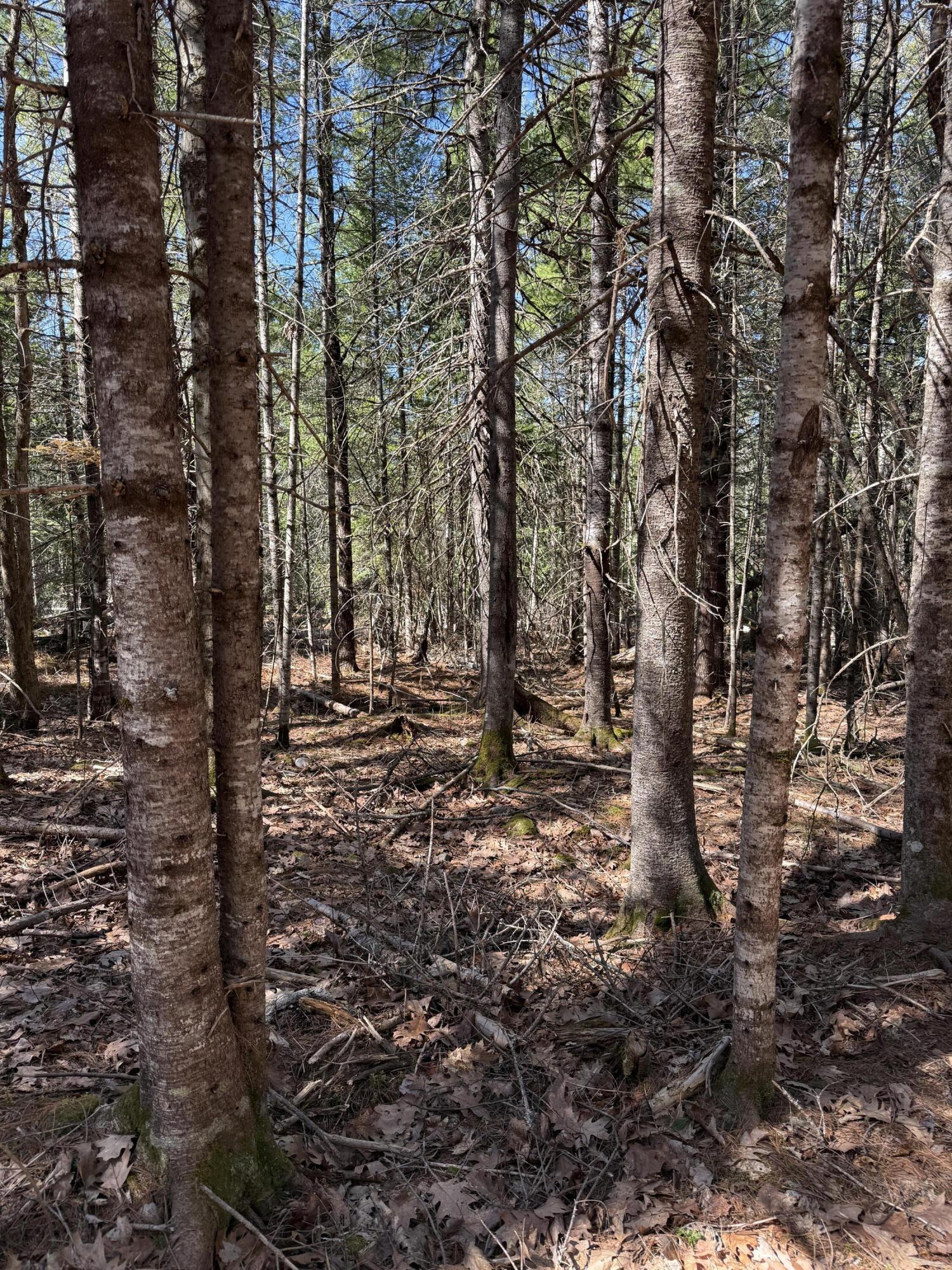 Lot 016-2 142 Old Fisher Rd Road, Holden, ME, 04429