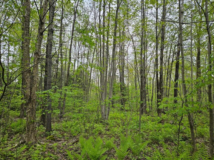 681 Mile Hill Road, New Sharon, ME, 04955