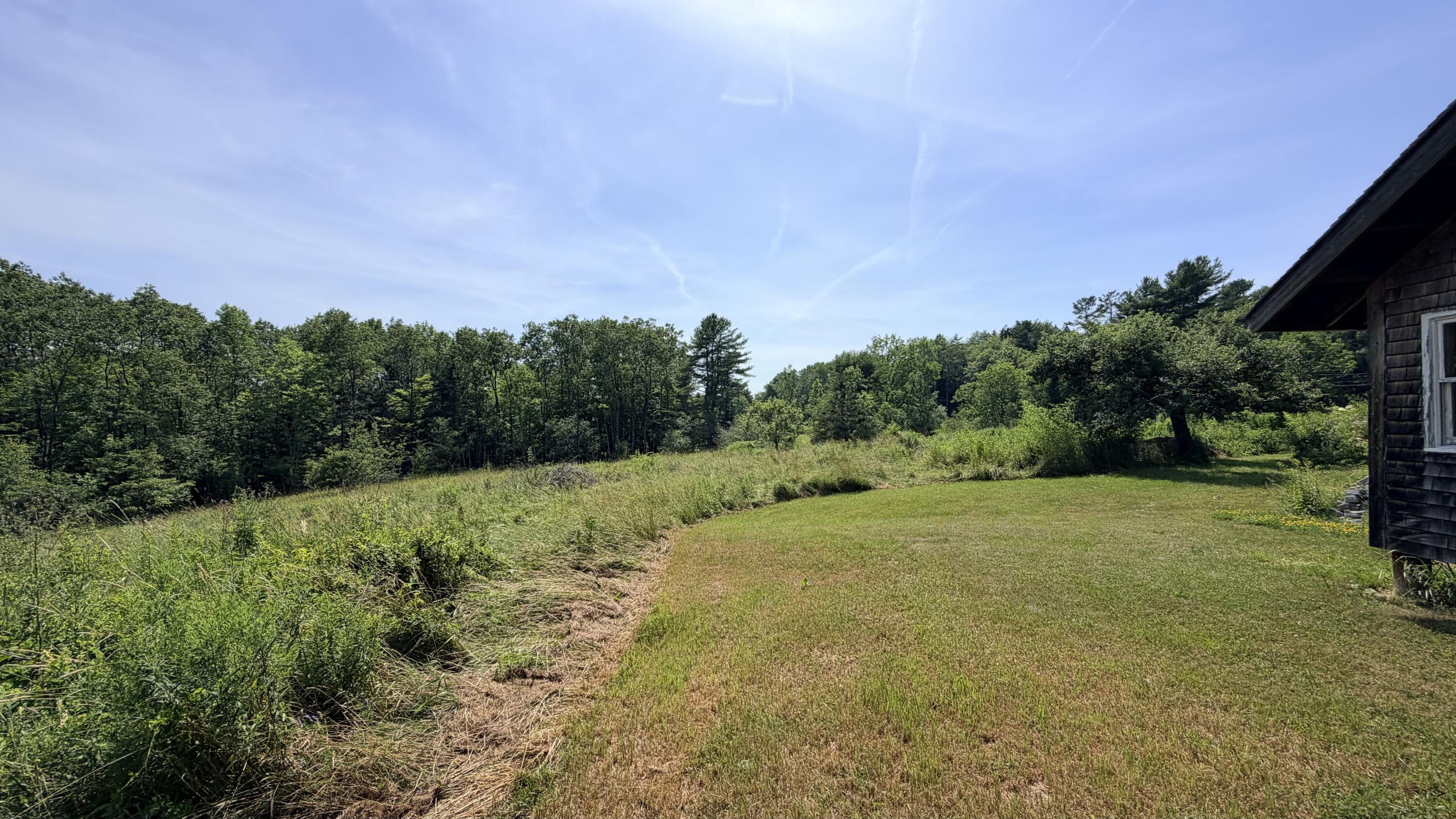 Field
