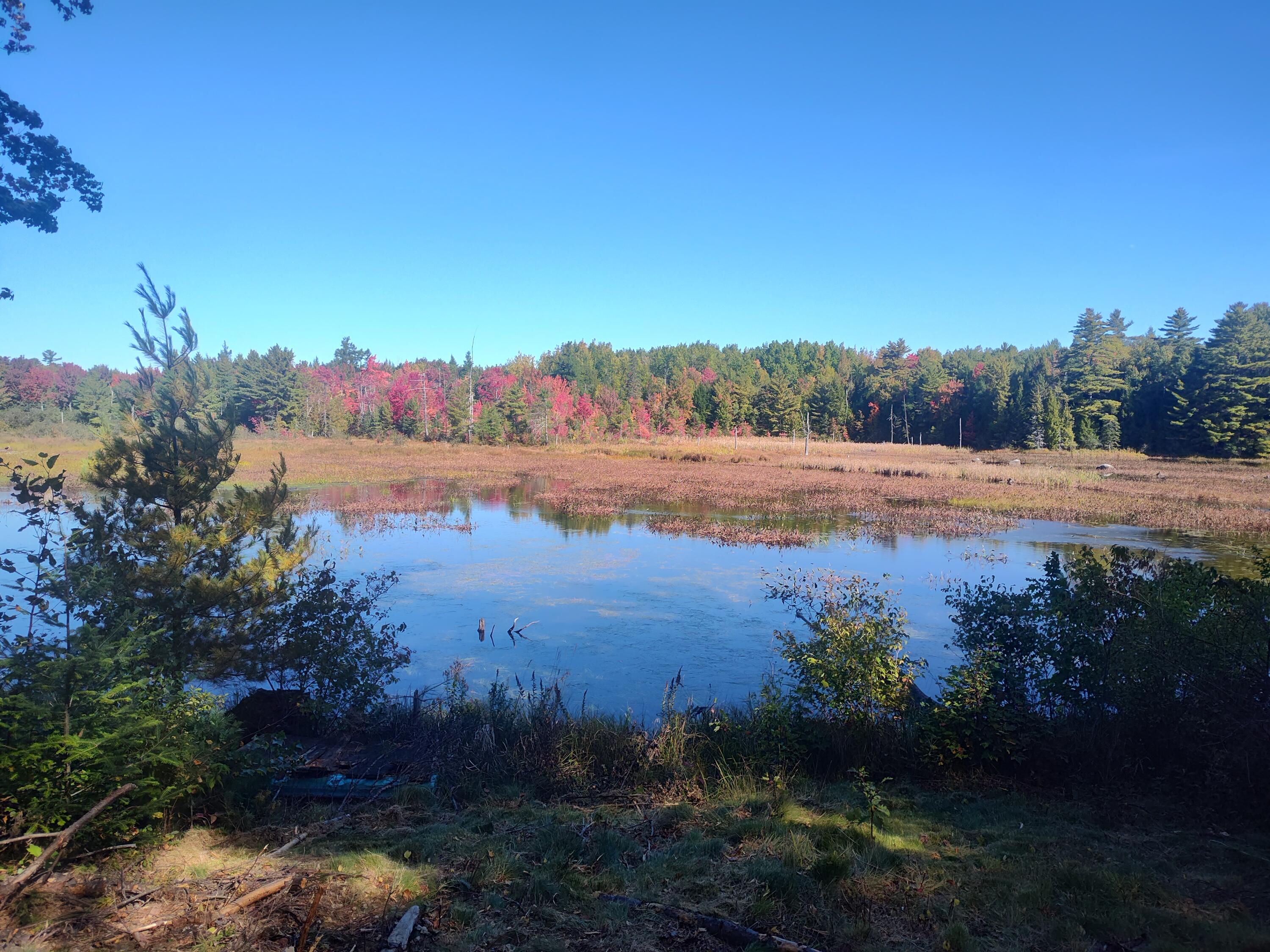 IMG_20260926_104522376_HDR