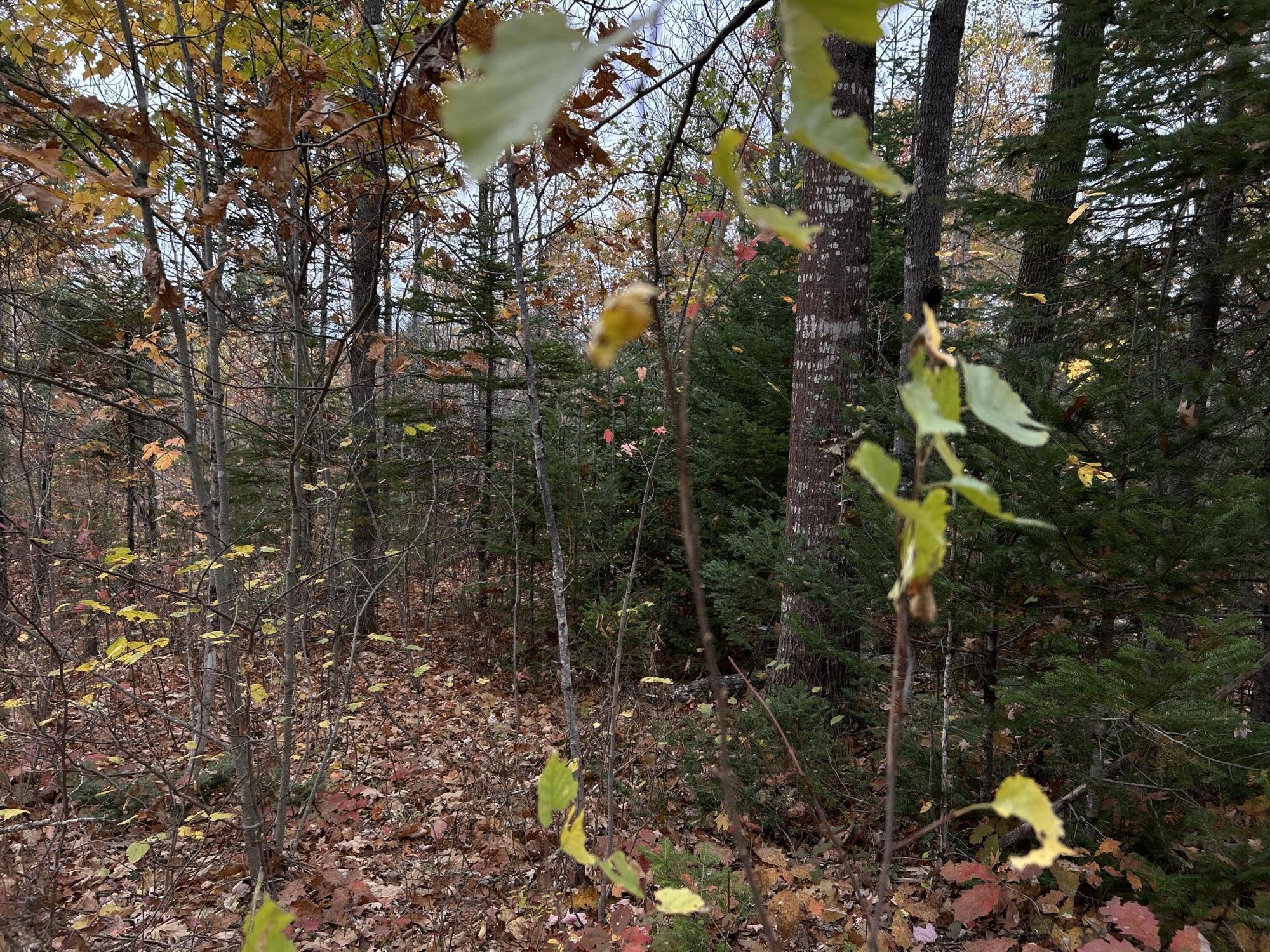 M4L18 Bog Road, Jackson, ME, 04921