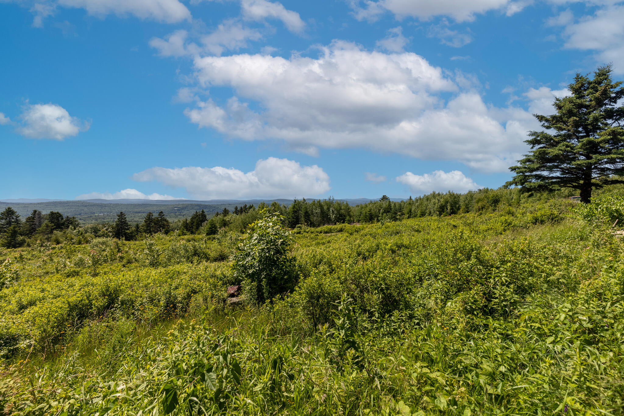 533 Mount Ephraim Map 4 Lot 63 Road, Searsport, ME, 04974