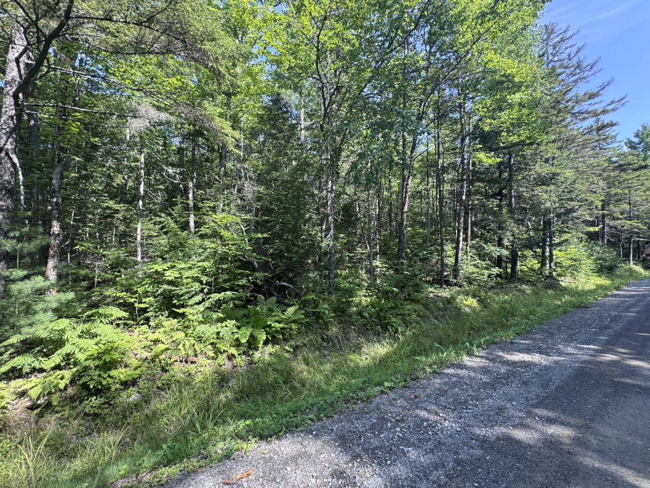 Photo of 176 Worcester Highway Kingsbury Plt ME 04443