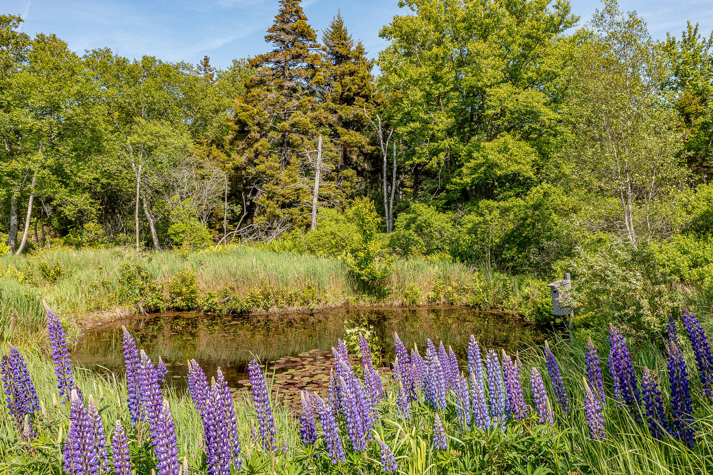 161 North Road, Matinicus Isle Plt, ME, 04851