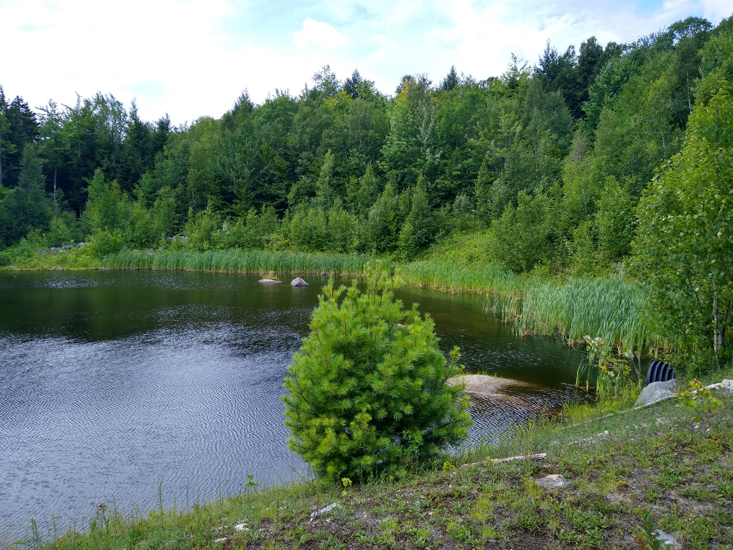 Lot 16 Keystone Drive, Newry, ME, 04261