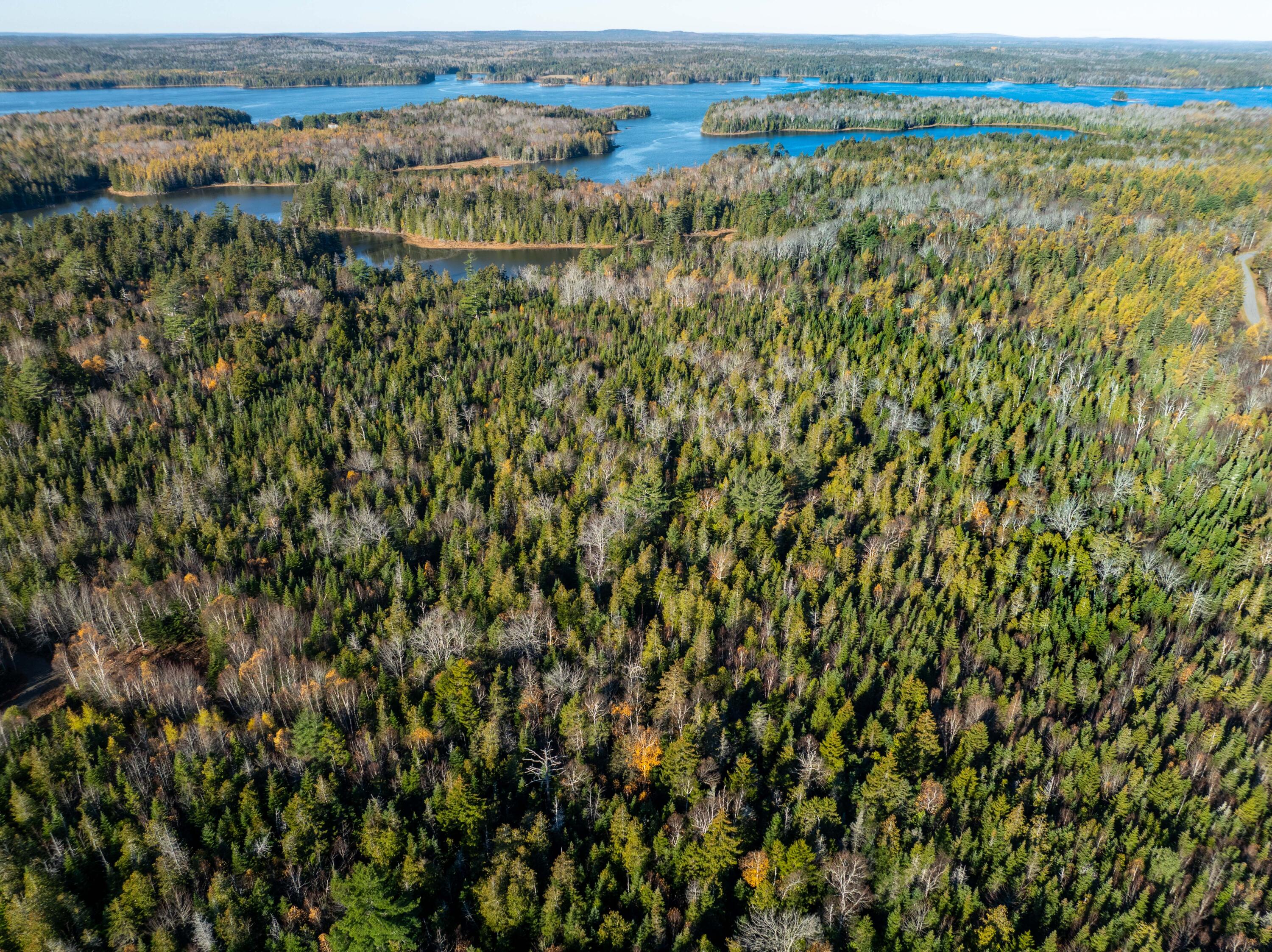 01-4 WA035, Trescott Twp, ME, 04652
