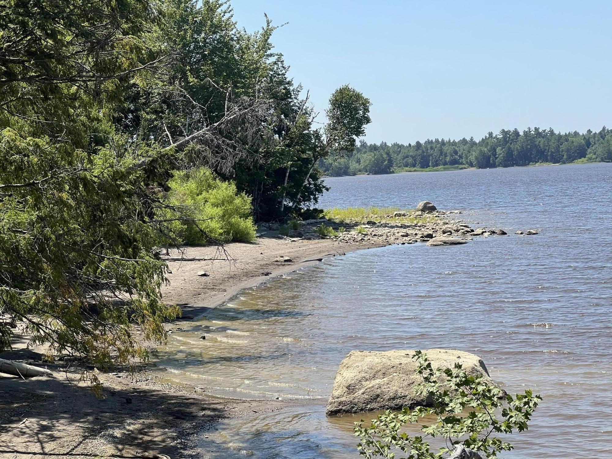 Search Homes for Sale