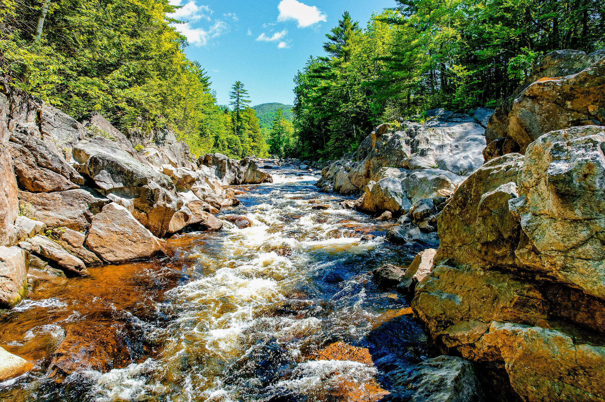 1574 Roxbury Road, Roxbury, ME 04275 Stunning Water Frontage on the Swift River!