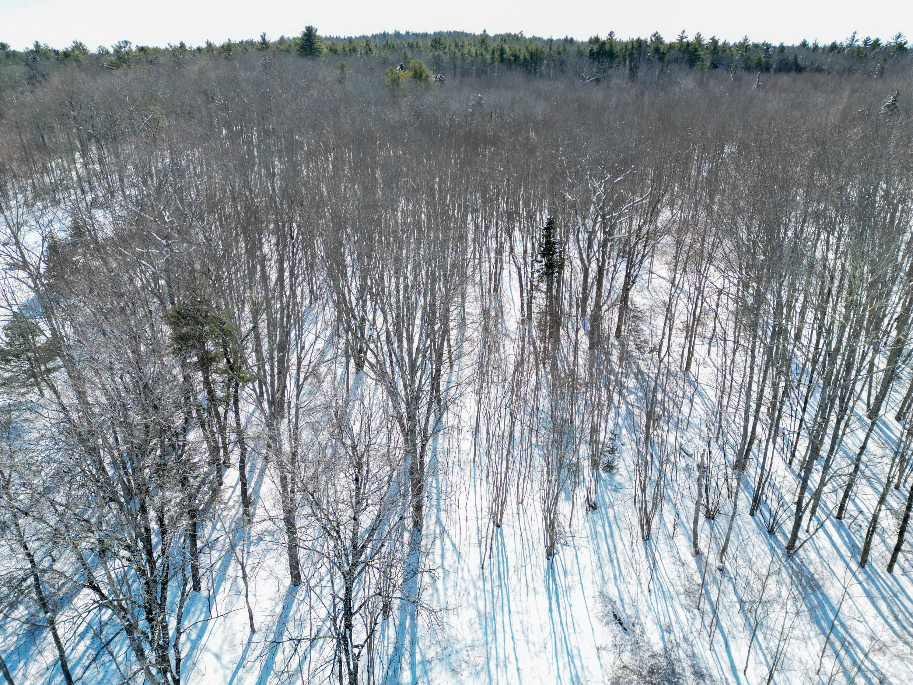 P/O 205 Ralph Wink Road, Waldoboro, ME, 04572