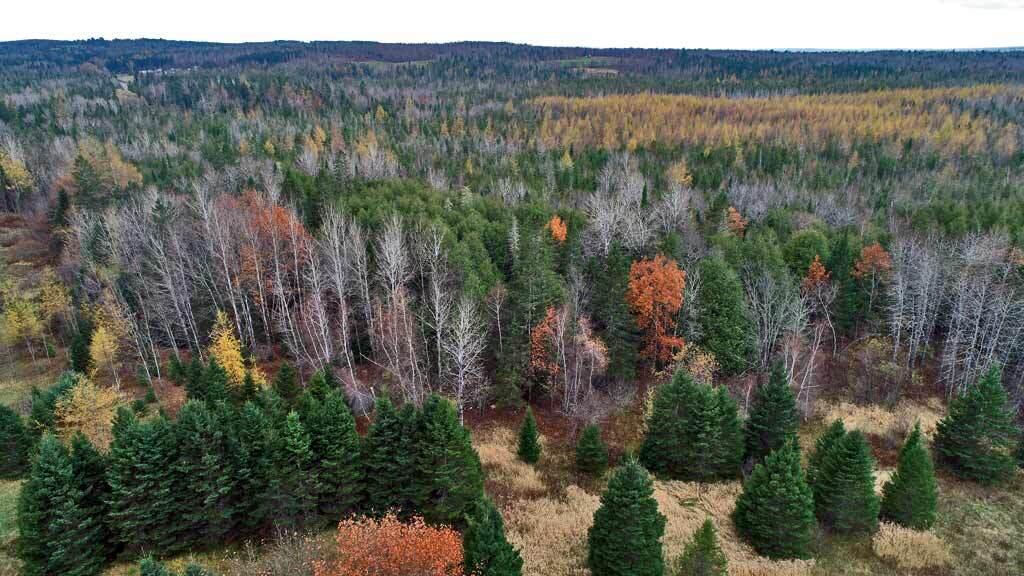 Lot 18 US RT 2 Highway, Sherman, ME, 04776