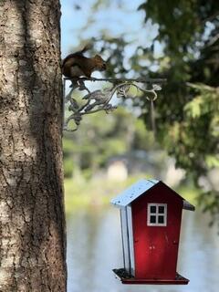 136 Holbrook Road, Holden, ME 04429 — photo 29