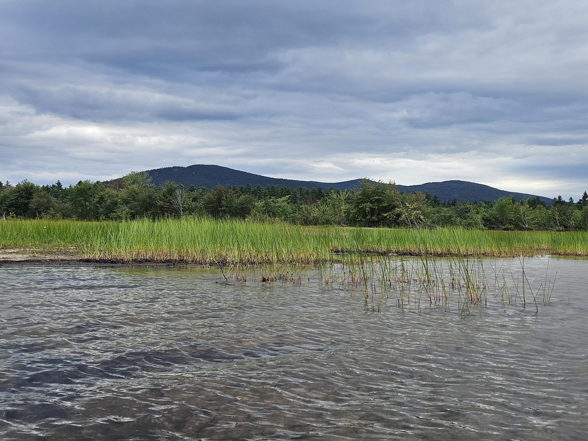 Search Homes for Sale