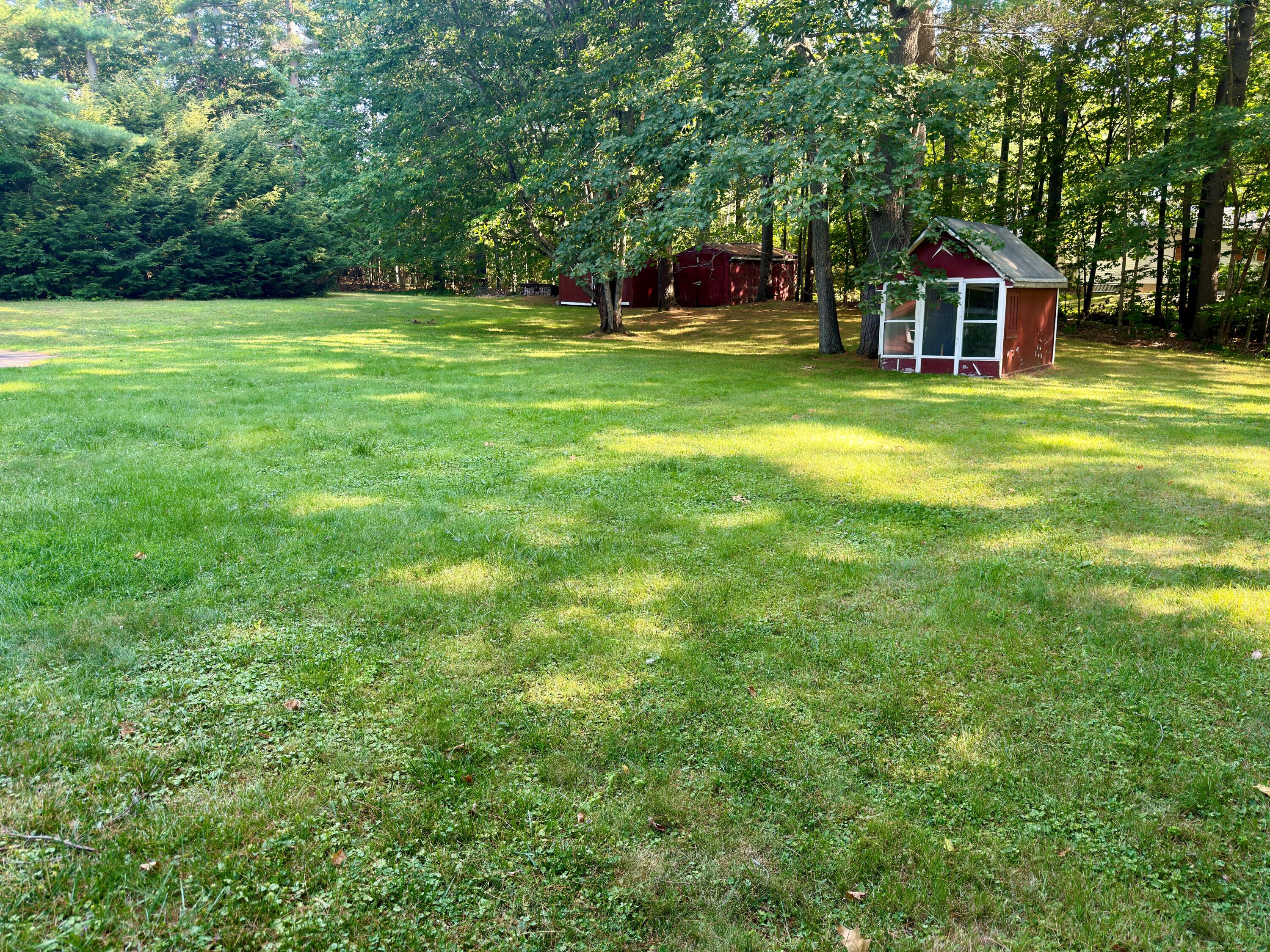 BACKYARD - 2