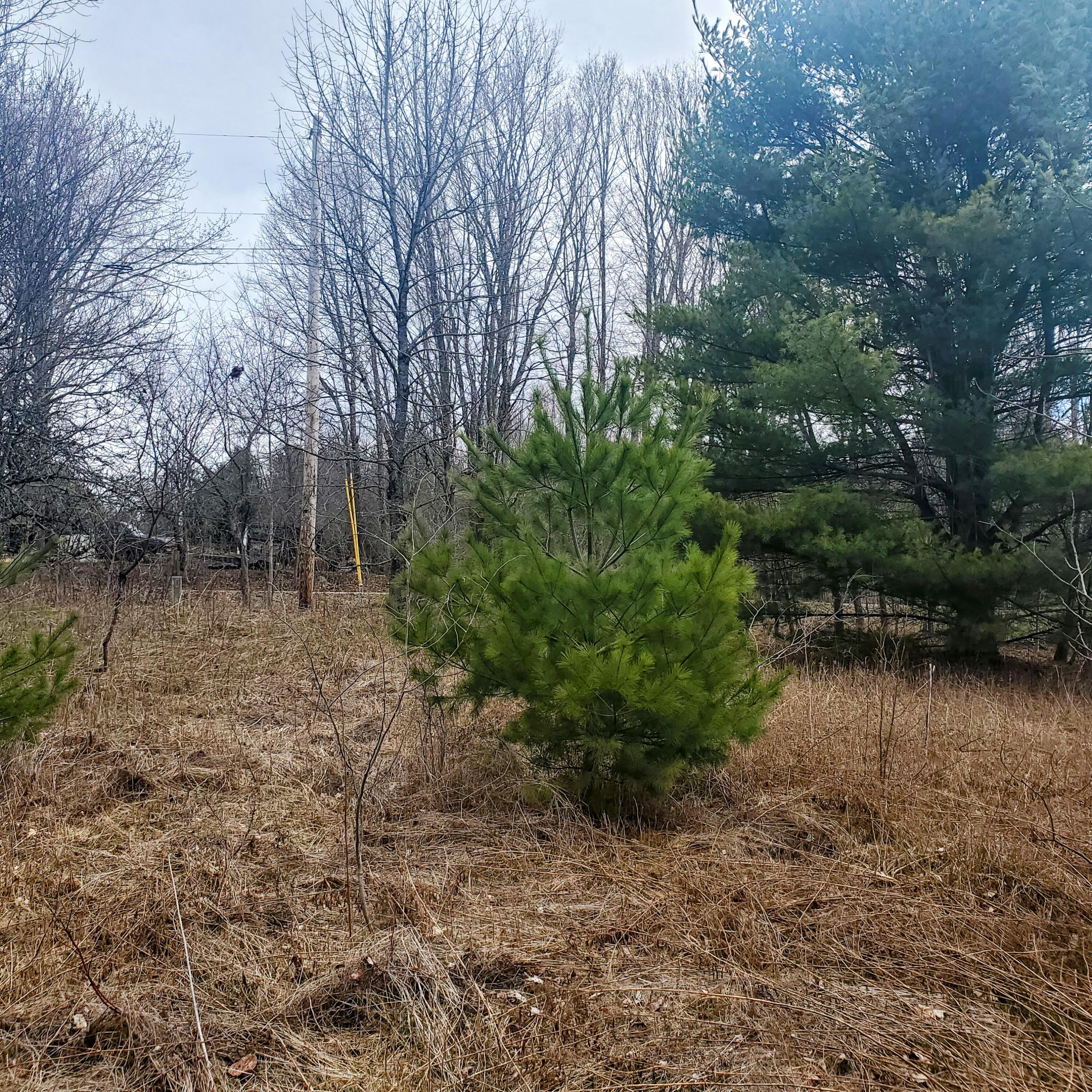 Lot 5 Dexter Road, Cambridge, ME, 04923