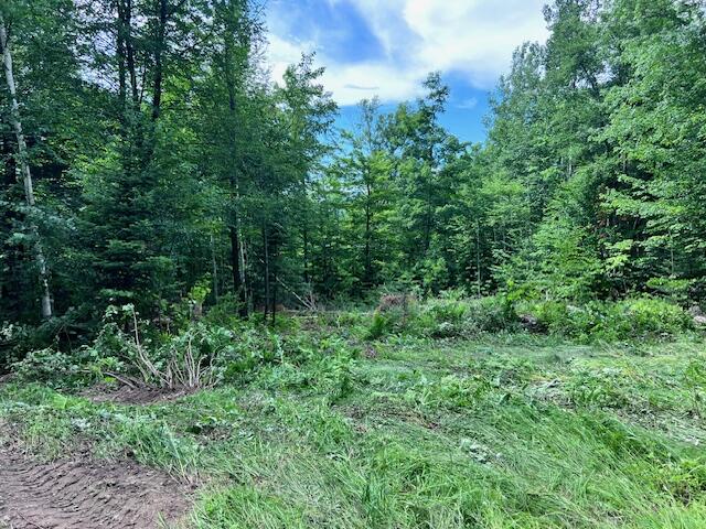 Lot  14D-2 Music Road, Farmington, ME, 04938