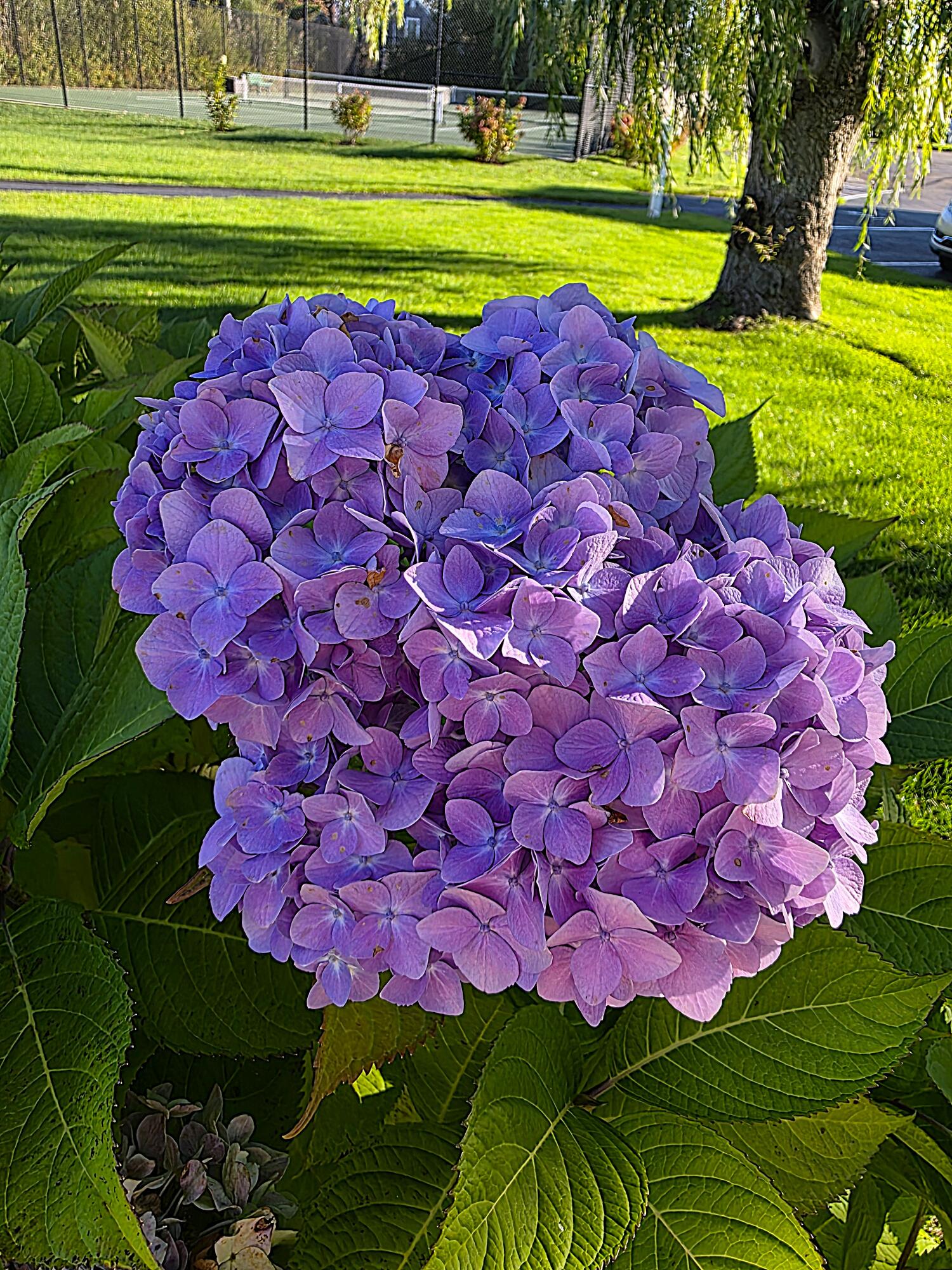 147 Beach Avenue UNIT 42, Kennebunk, ME, 04043