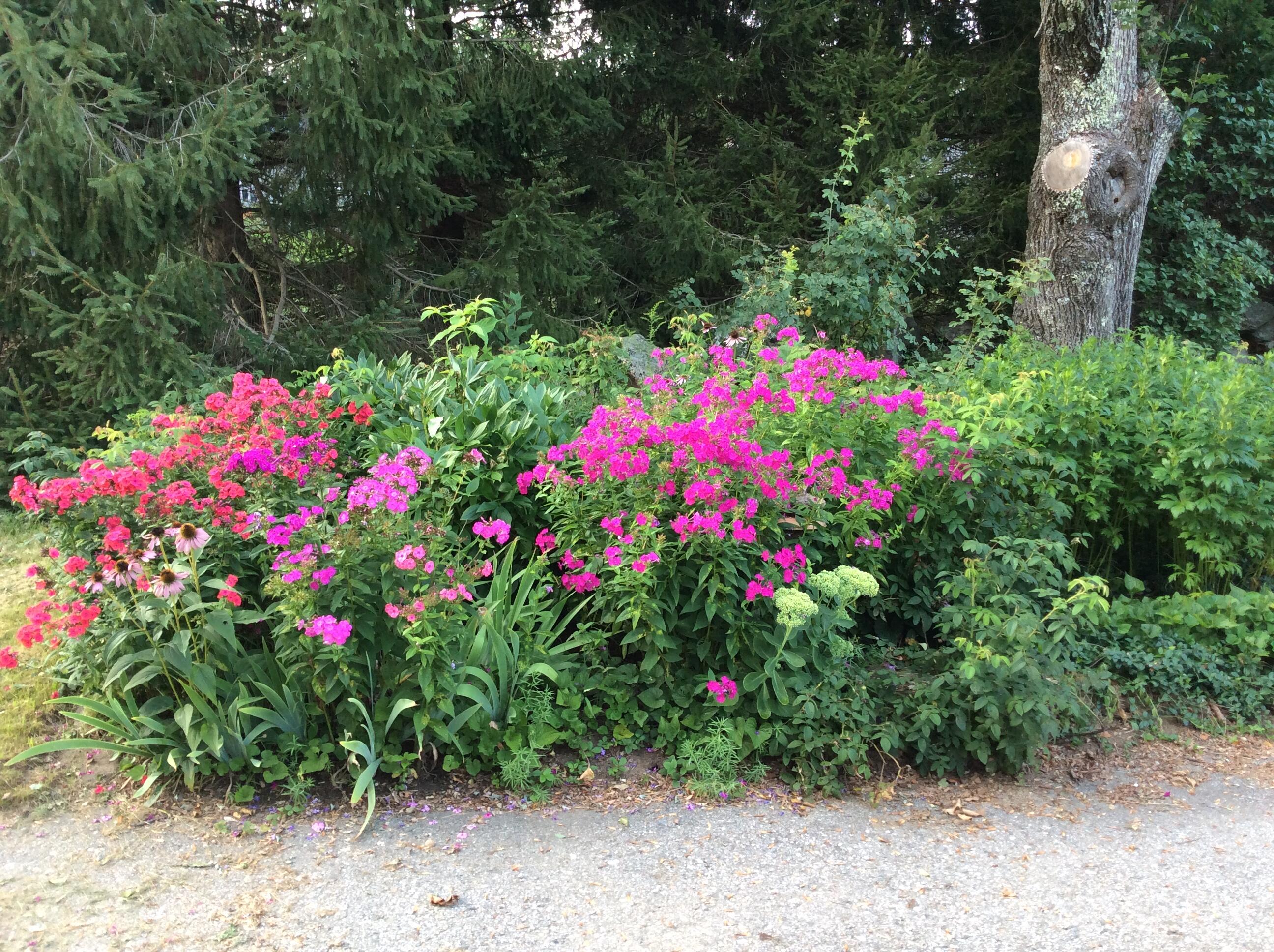 482 Back Road, Shapleigh, ME, 04076