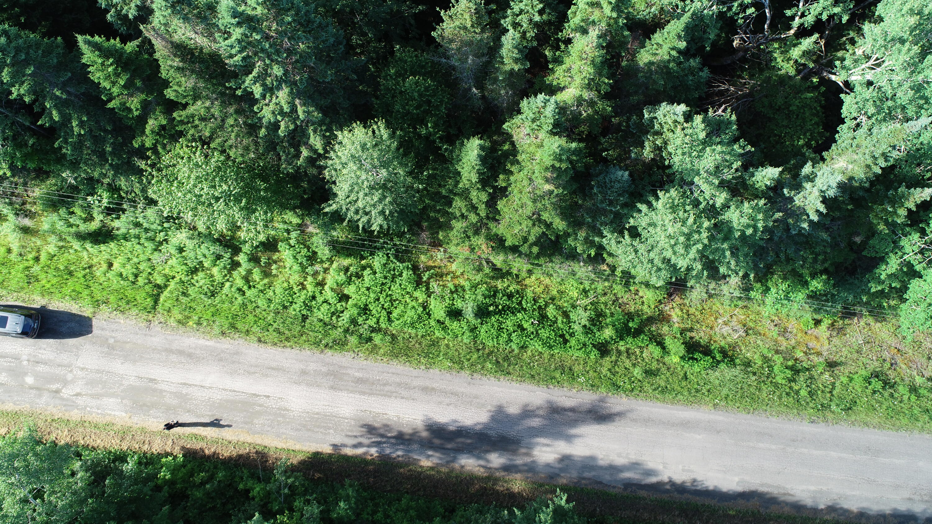 Lot 27 Brewer Road, Cary Plt, ME, 04471