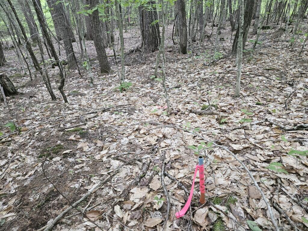 M10L44 Mountain View Road, Fryeburg, ME, 04037