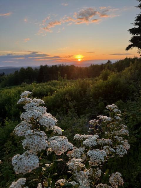 533 Mount Ephraim Map 4 Lot 63 Road, Searsport, ME, 04974