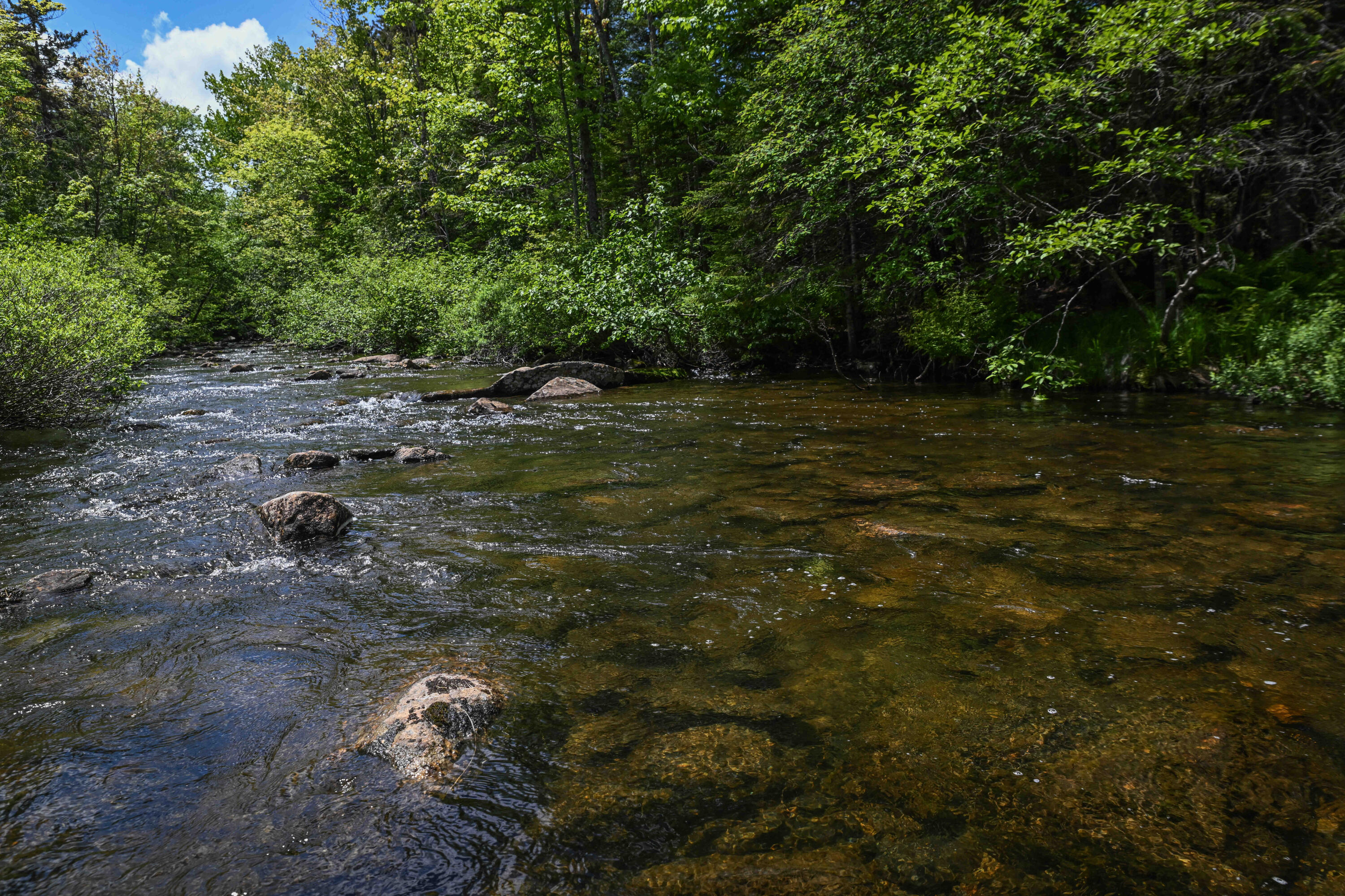 Tax Map 20 Beaver Mountain Road, Sandy River Plt, ME, 04970
