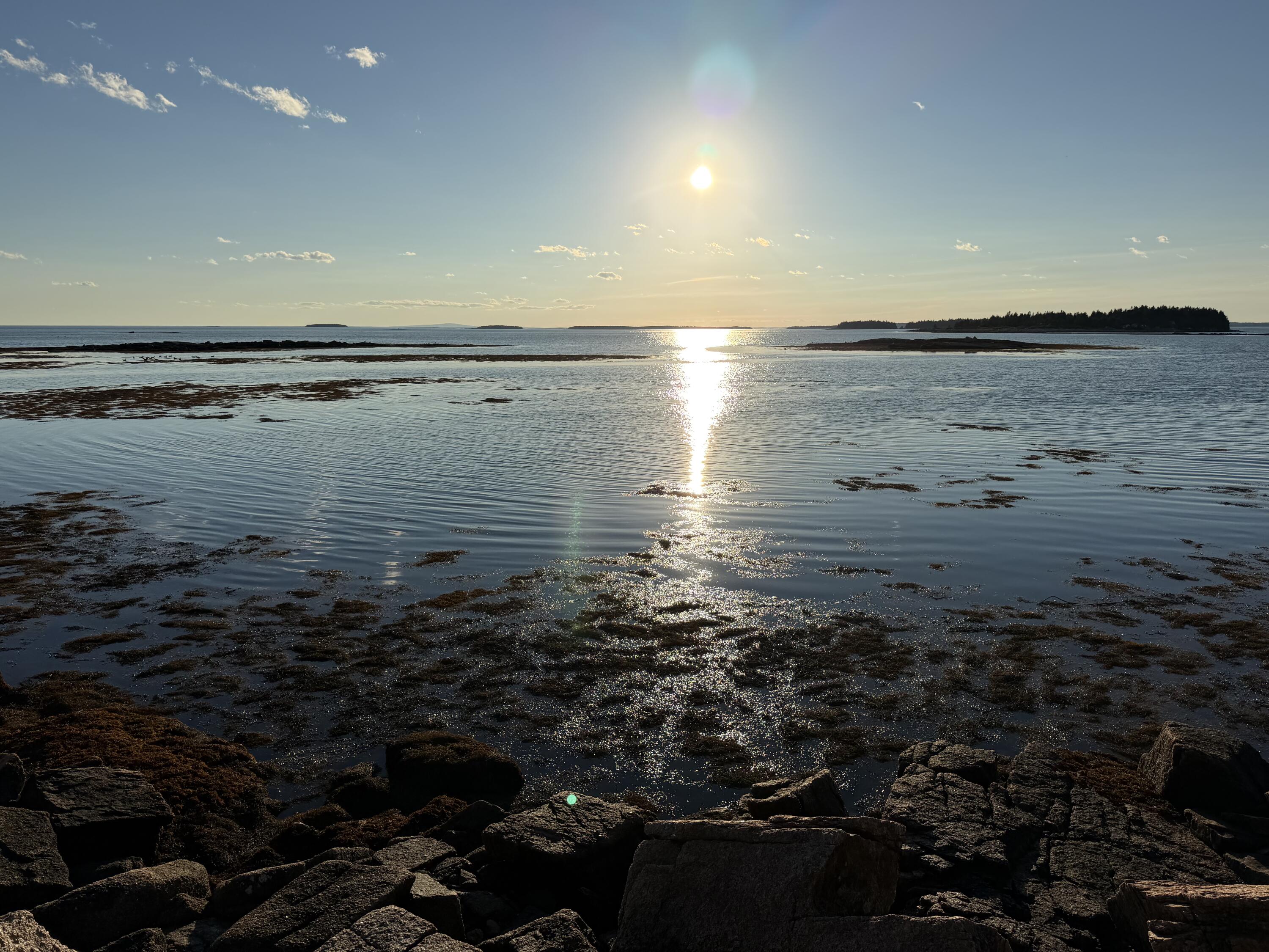 Photo of 463 Black Duck Cove Road Beals ME 04611