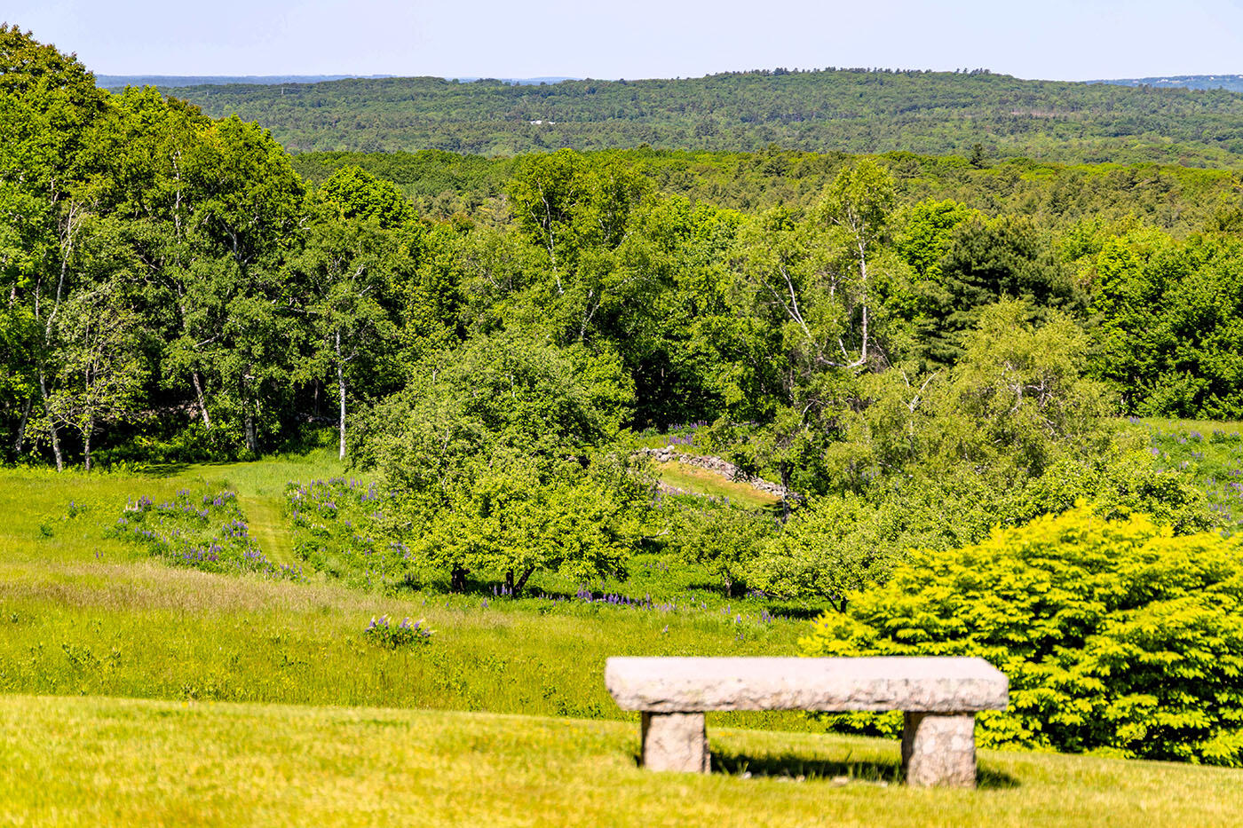 269 Mill Street, Rockport, ME 04856 sitting bench for relaxation