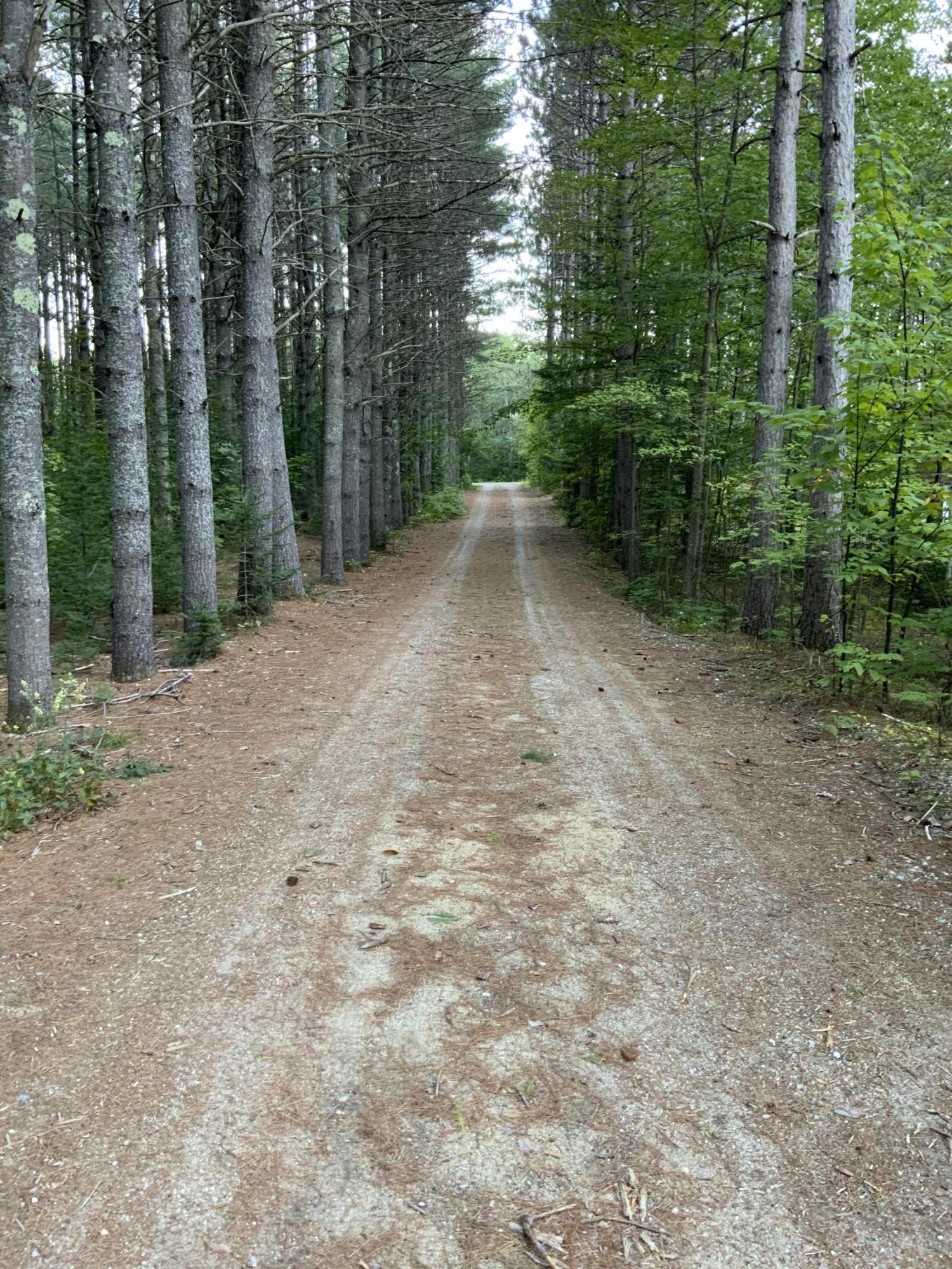 1 Ledge Lane, Mason Twp, ME, 04217