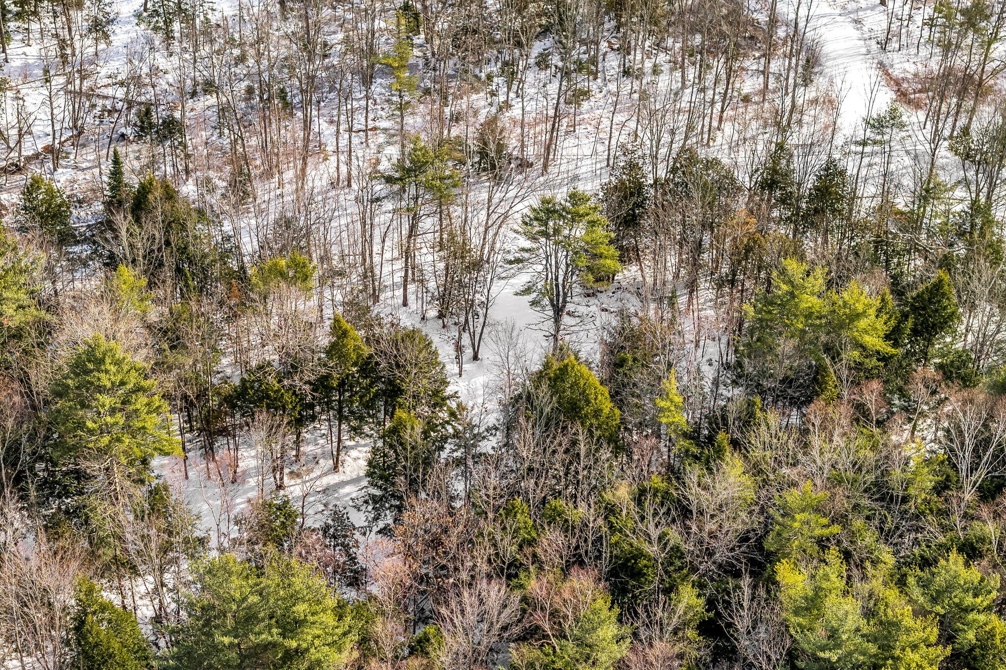 9-6 Page Rd Road, Etna, ME, 04434