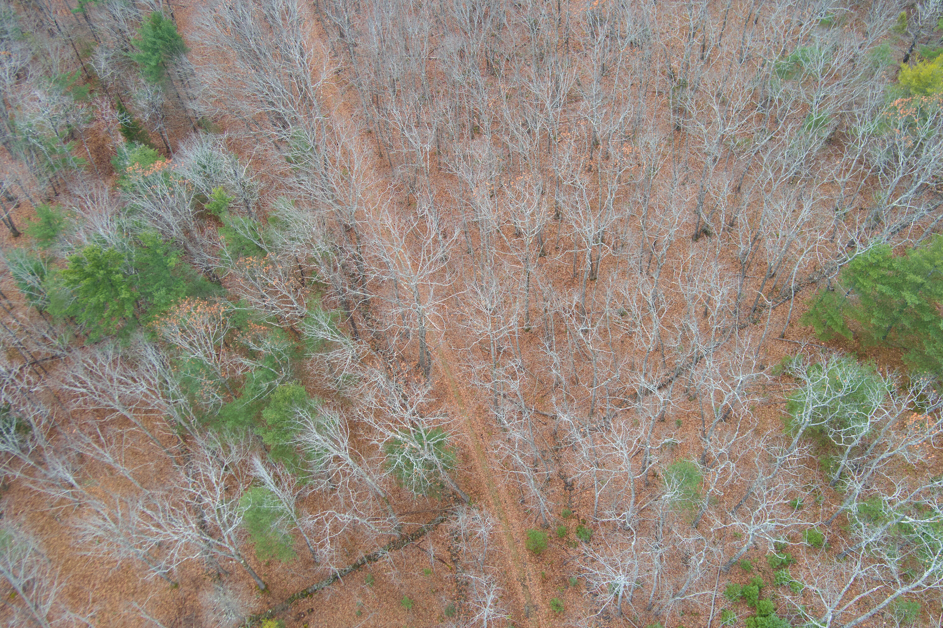 Lot 151 Dunbar Road, Thomaston, ME, 04861