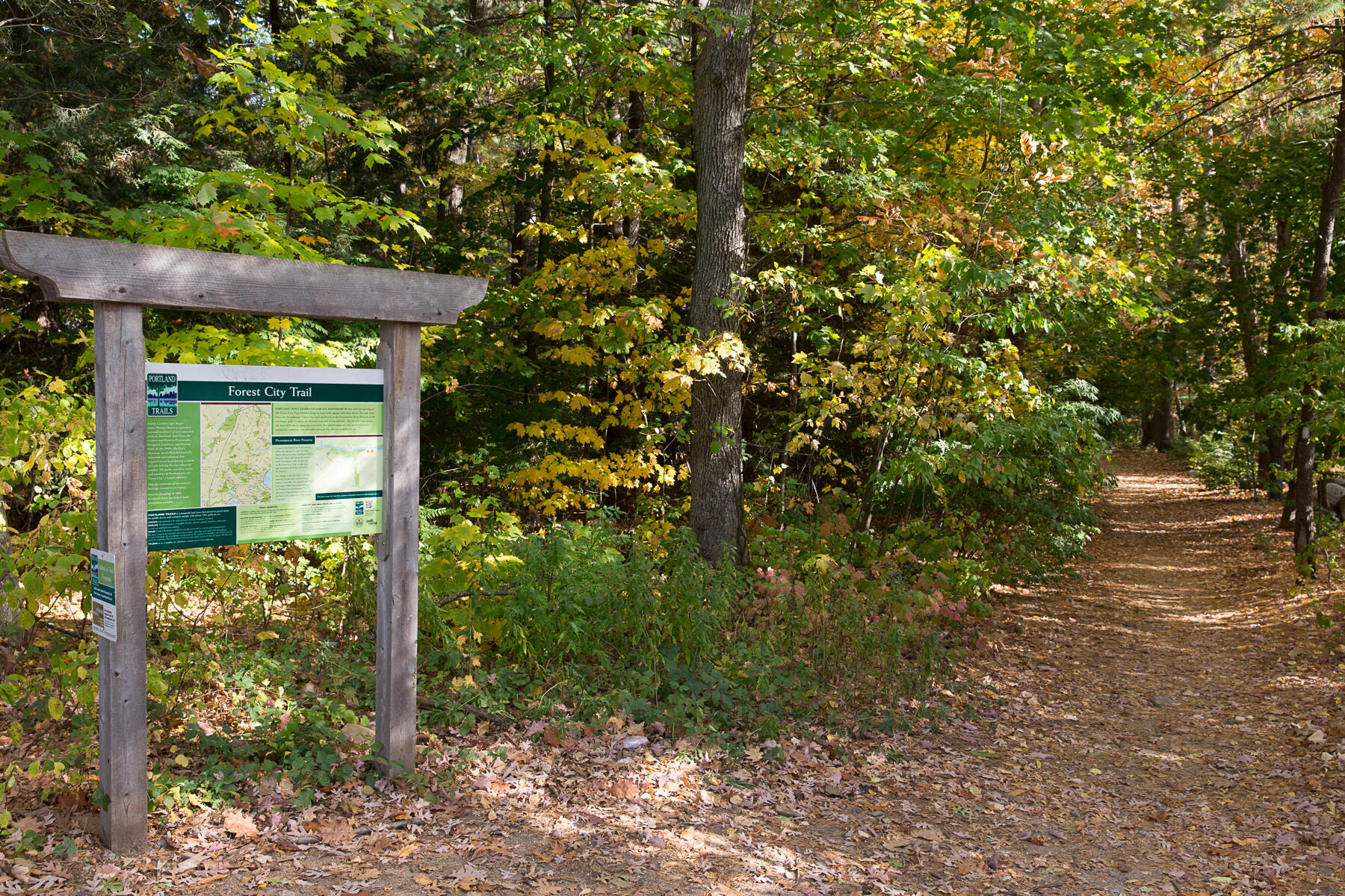 48 Pennell Avenue, Portland, ME, 04103