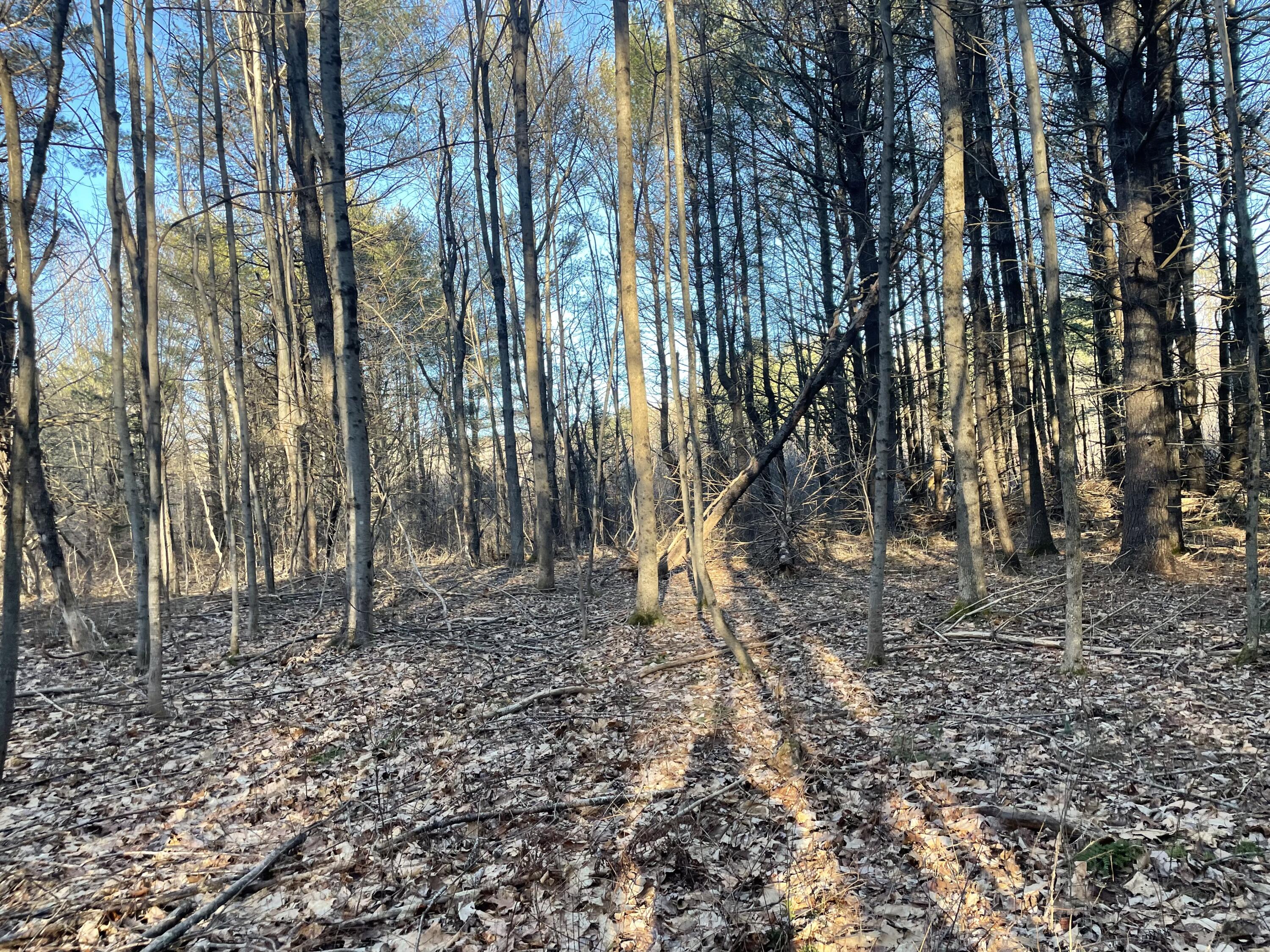 0 Cross Street, Manchester, ME, 04351