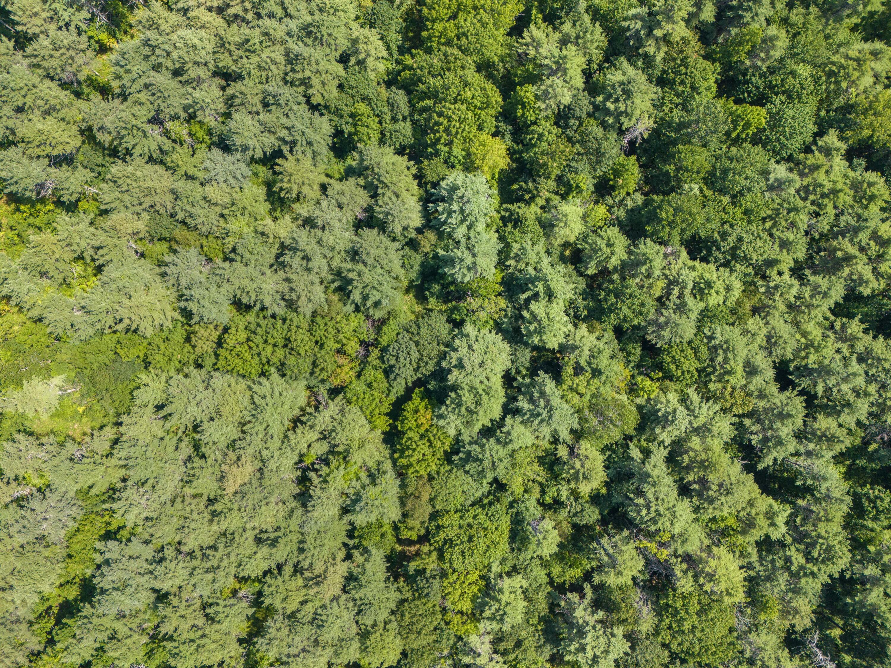 Lot 12 Hallowell Road, Litchfield, ME, 04350