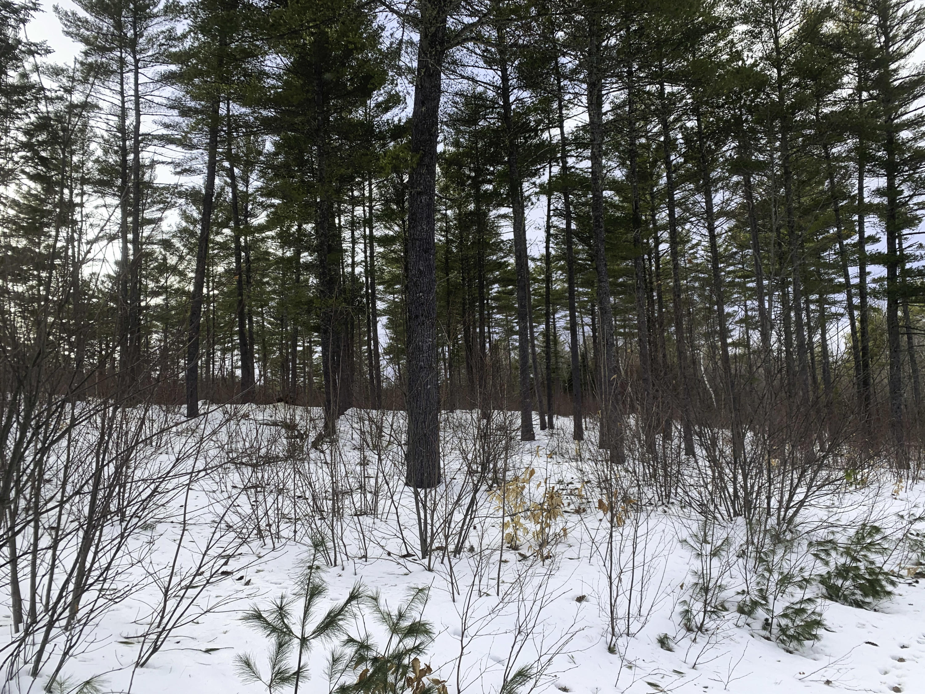 Lot 1 Lyman Wheeler Road, Bethel, ME, 04217