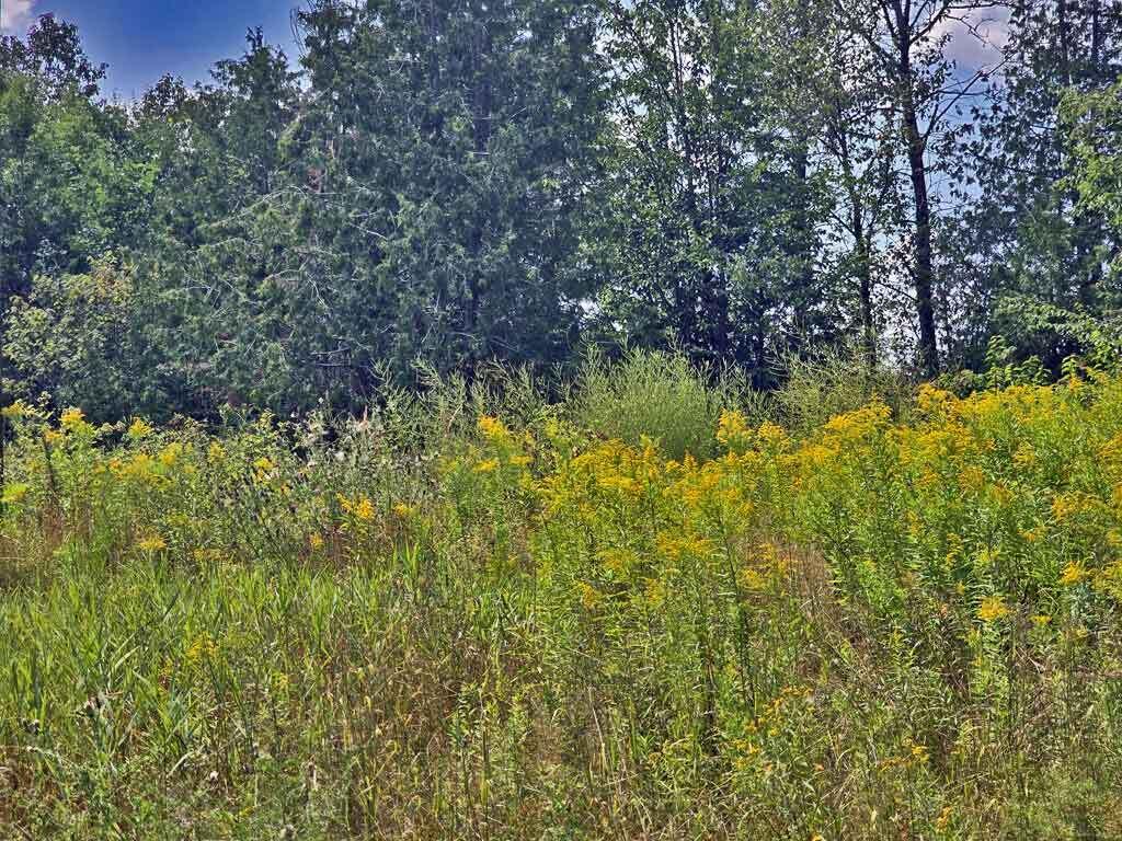 1020 County Road, New Limerick, ME, 04761