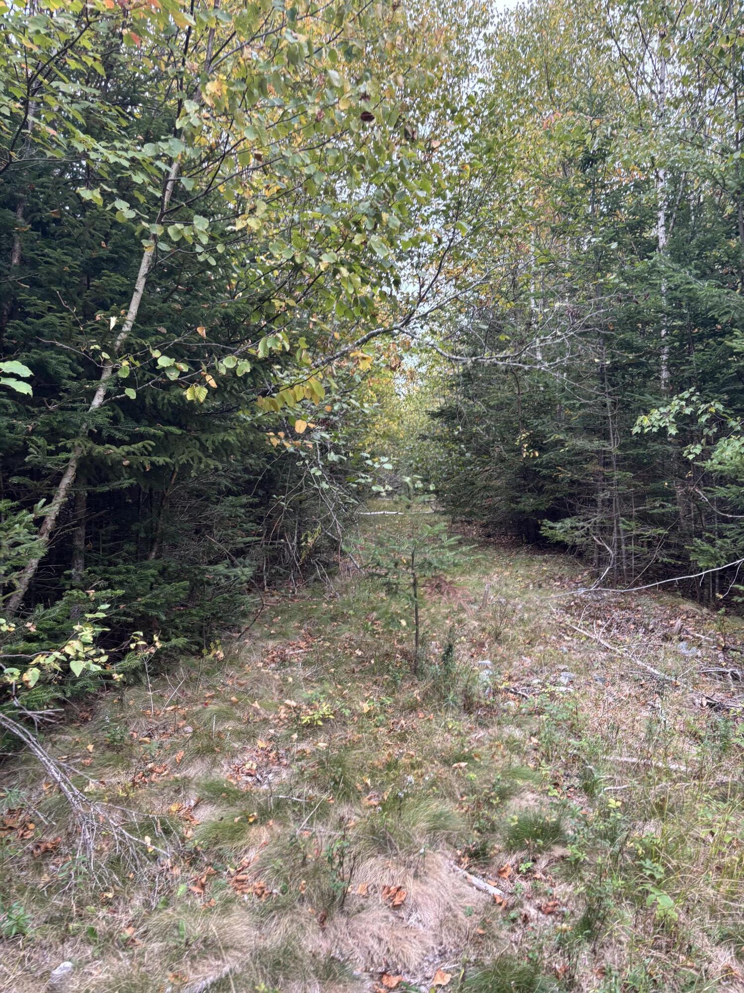 M20L2 East Side Road, Addison, ME, 04606