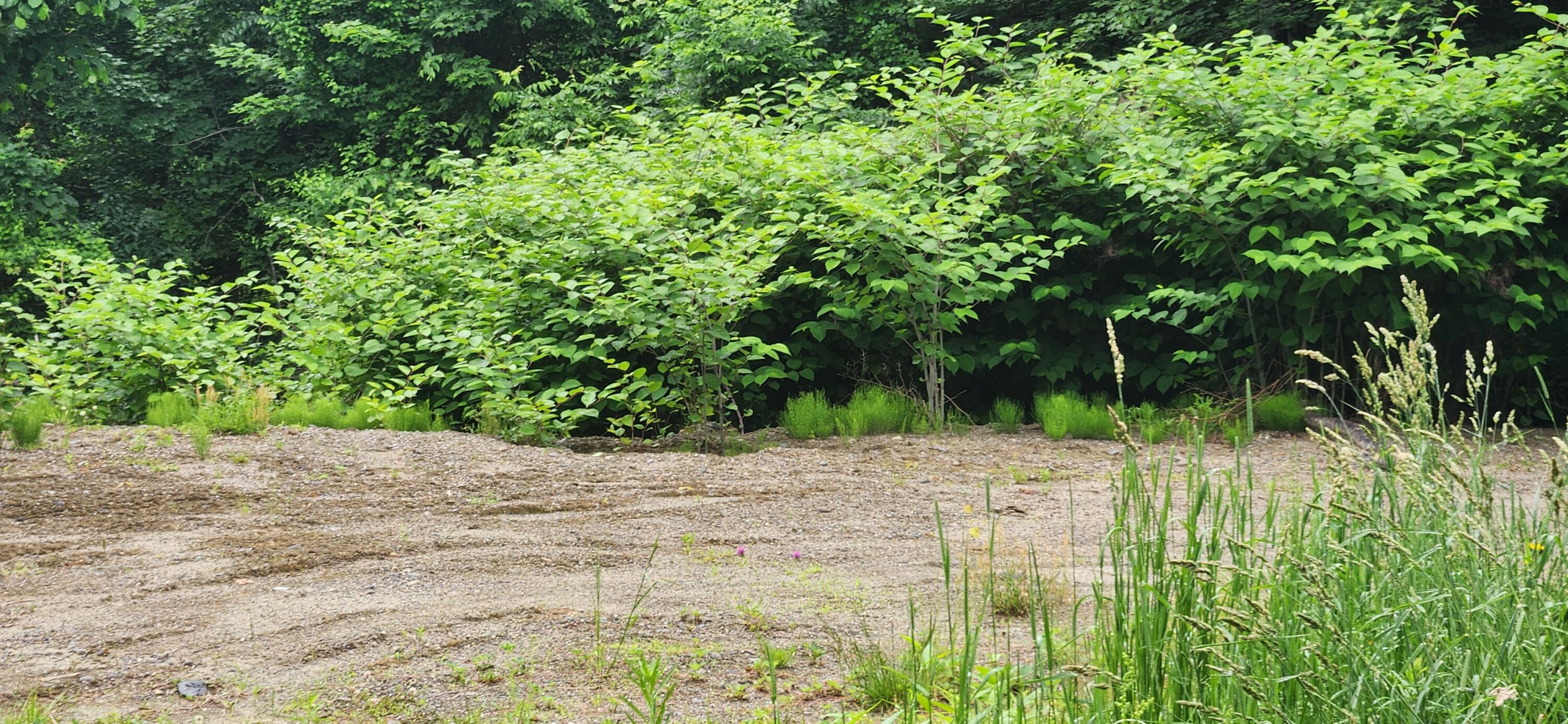 004 Titcomb Hill Road, Farmington, ME, 04938