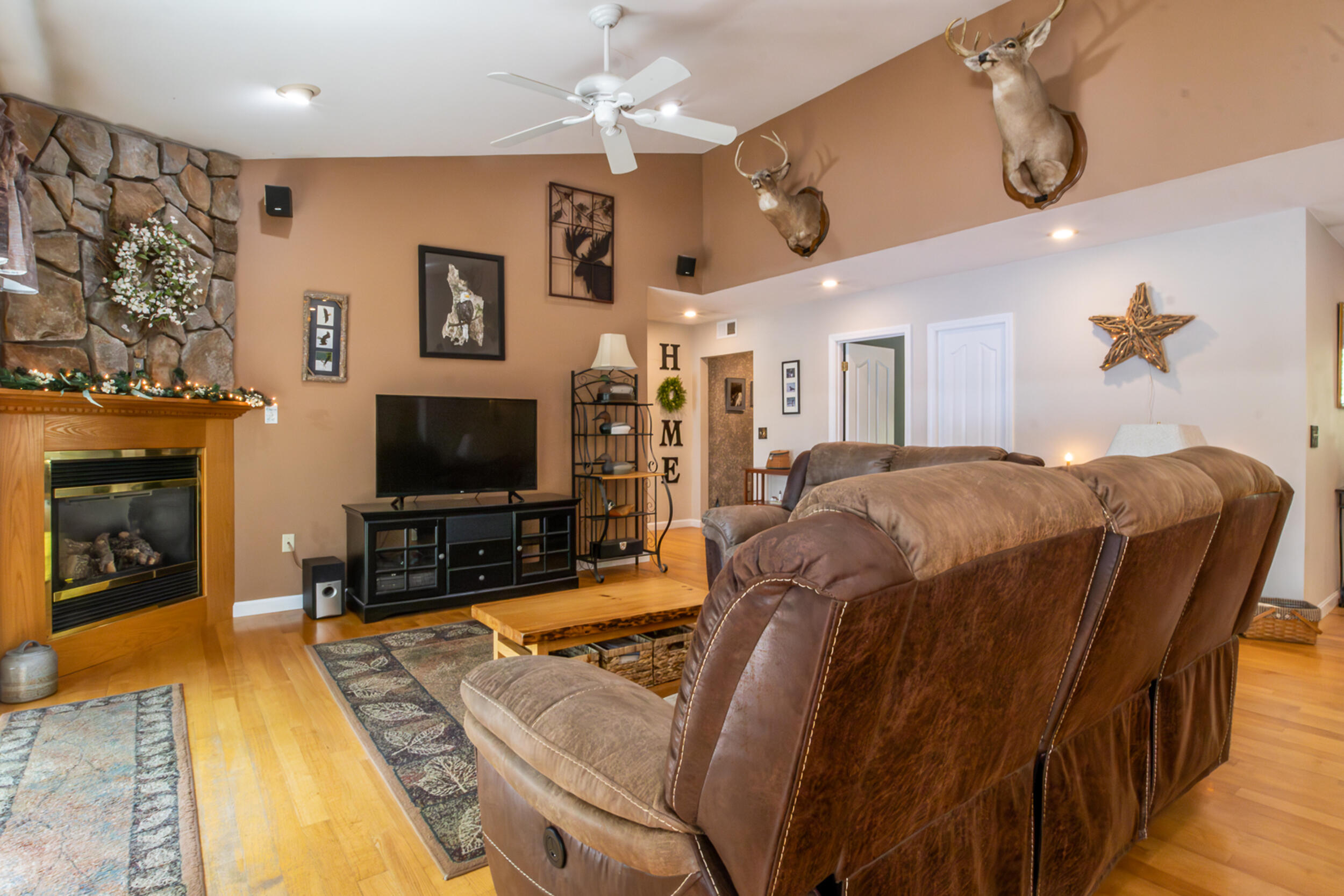 60 Diamond living ceilings and fireplace