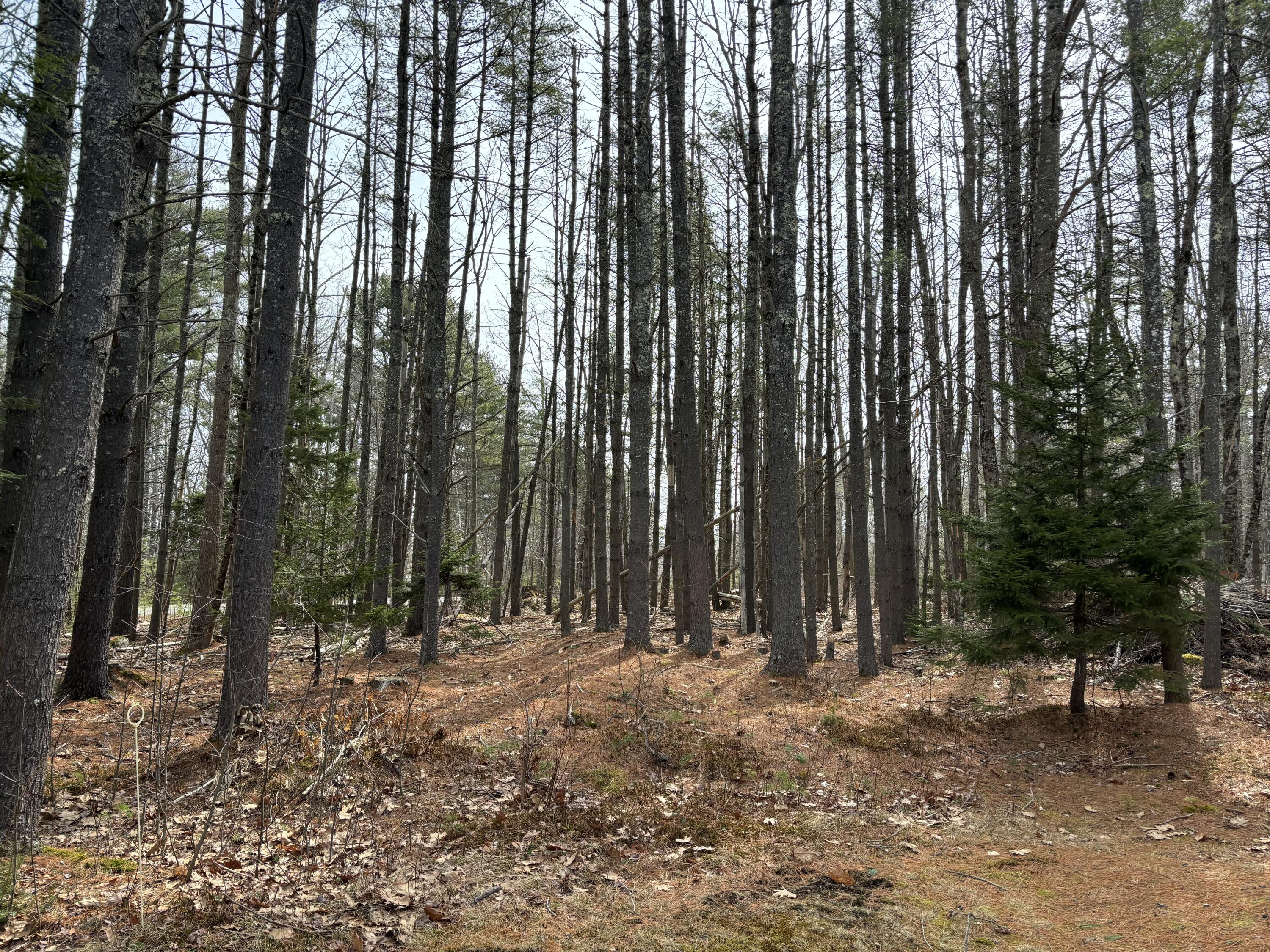 26 Old Nutt Farm Road, Rockport, ME, 04856