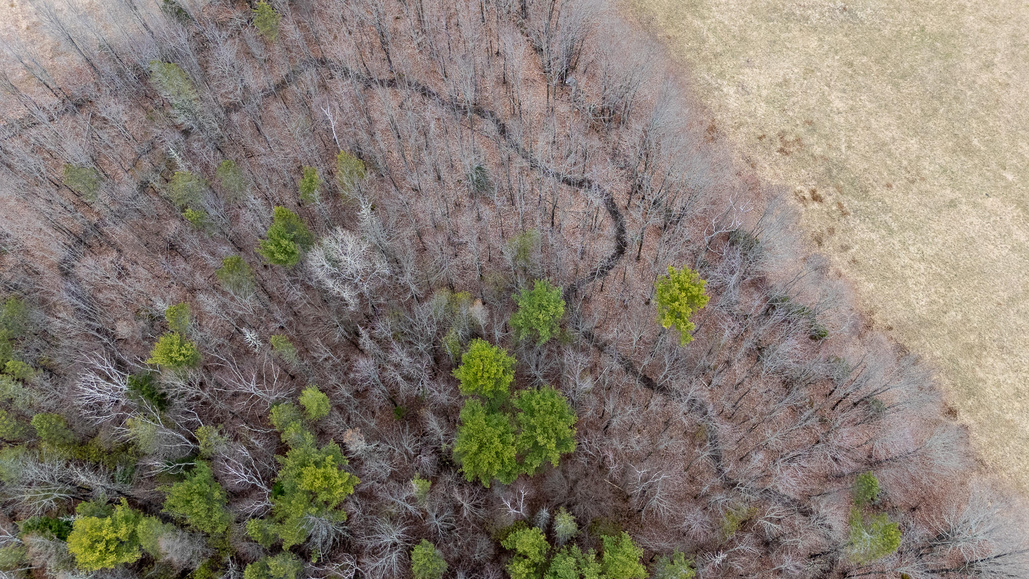 317 Milo Road, Sebec, ME, 04481