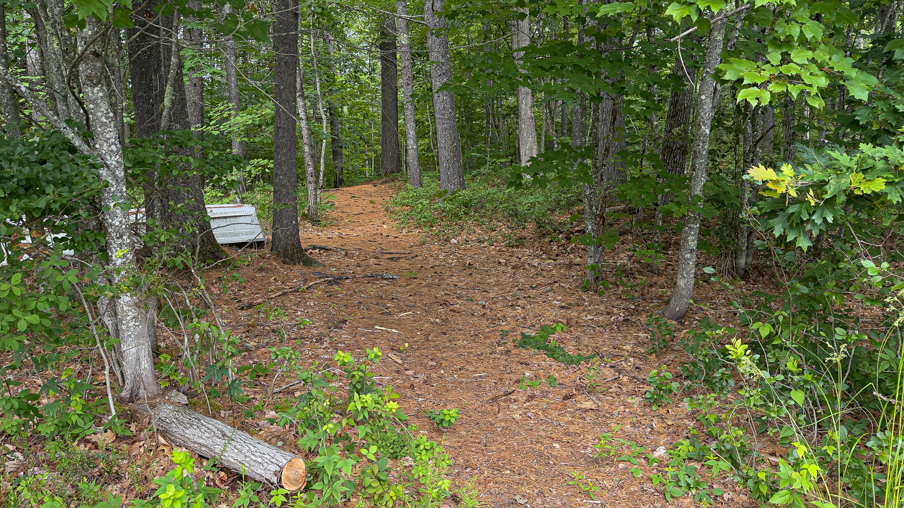 62-B Long Pond Drive, Denmark, ME, 04022