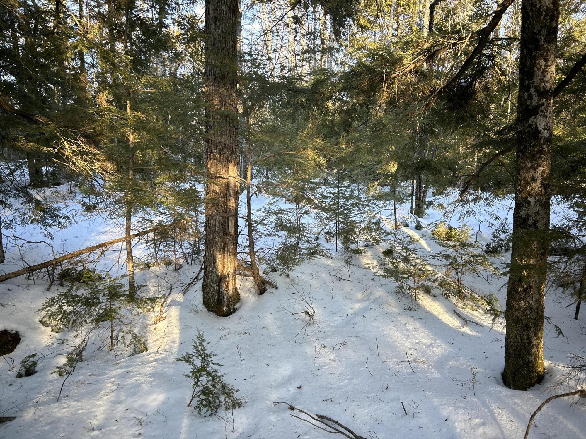 M7L22 Nelson Ridge Road N, Washington, ME, 04574