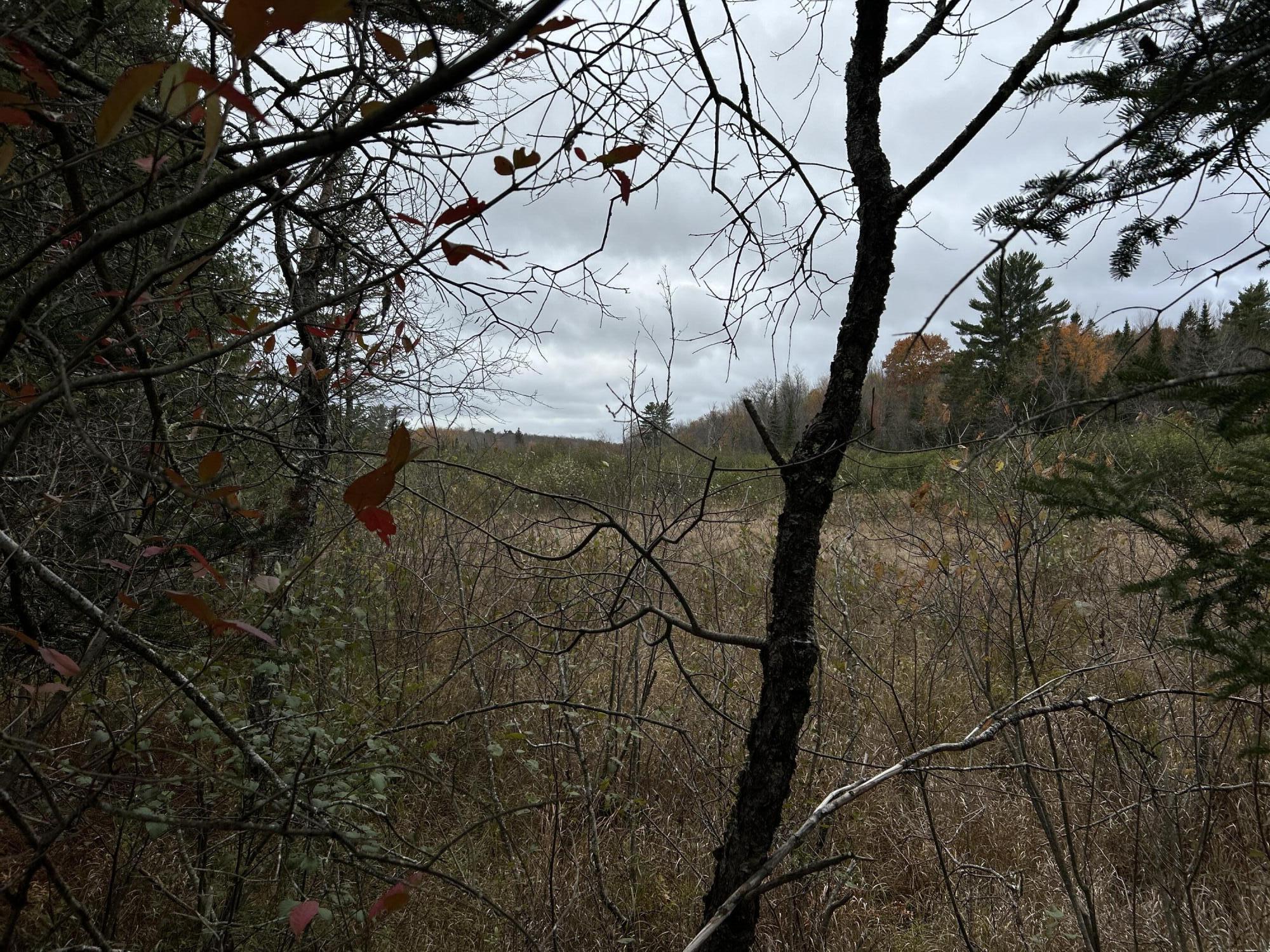 M4L18 Bog Road, Jackson, ME, 04921