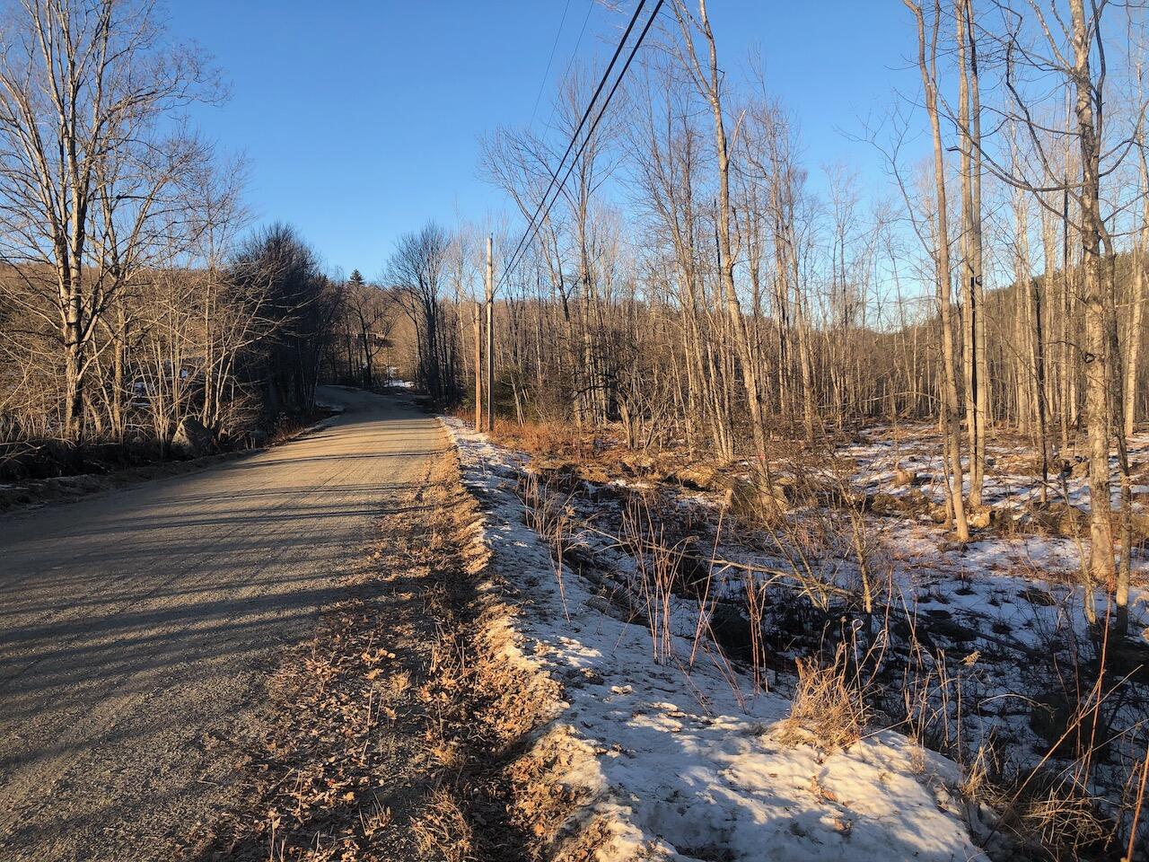 L25 Canton Mountain Road, Jay, ME 04239 IMG_8003