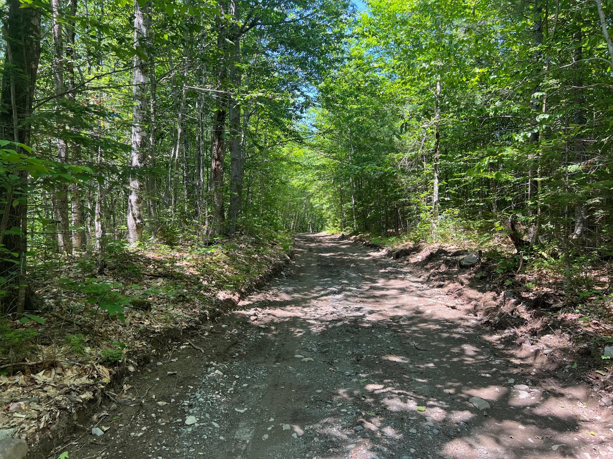 Map 2 Lot 47 W Brighton Road, Brighton Plt, ME, 04912
