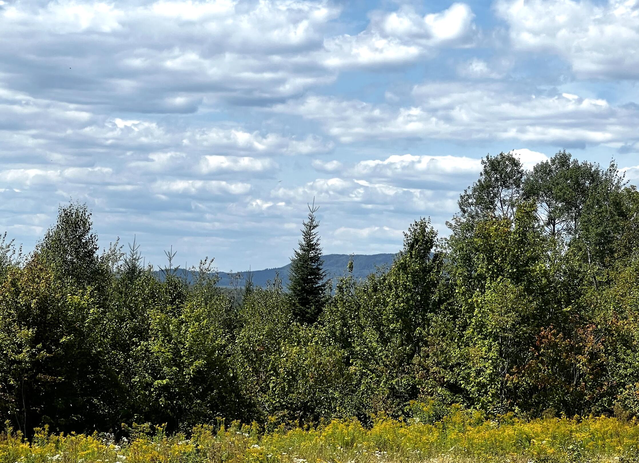 25 Hundred Acre Wood Road, Gardiner, ME, 04345
